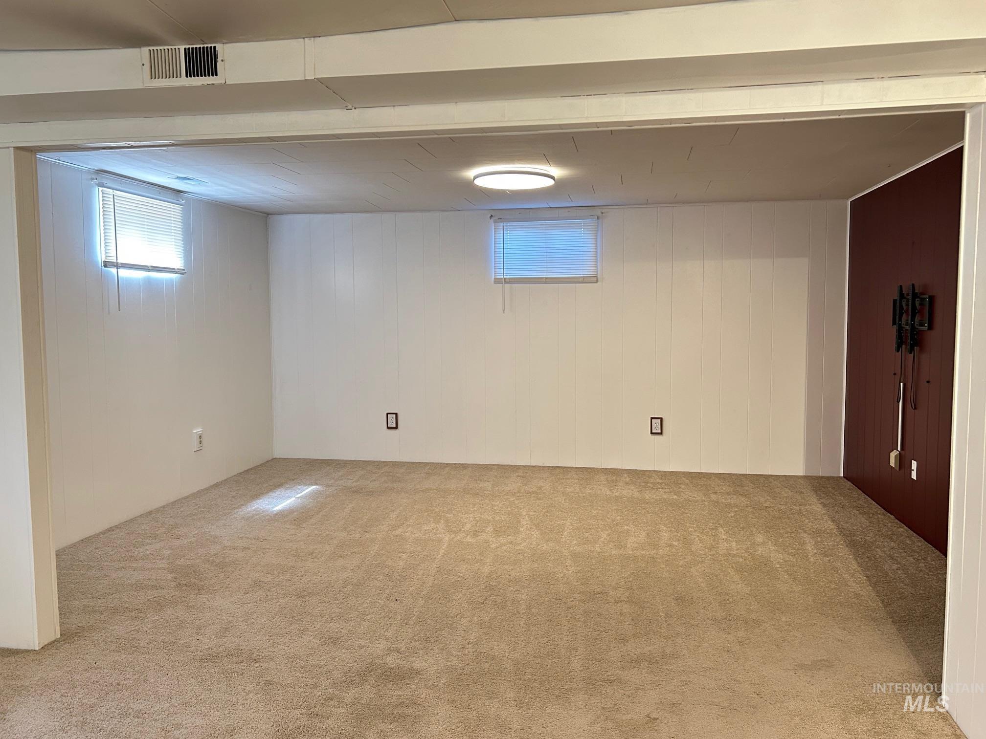 Basement with carpet floors and wooden walls