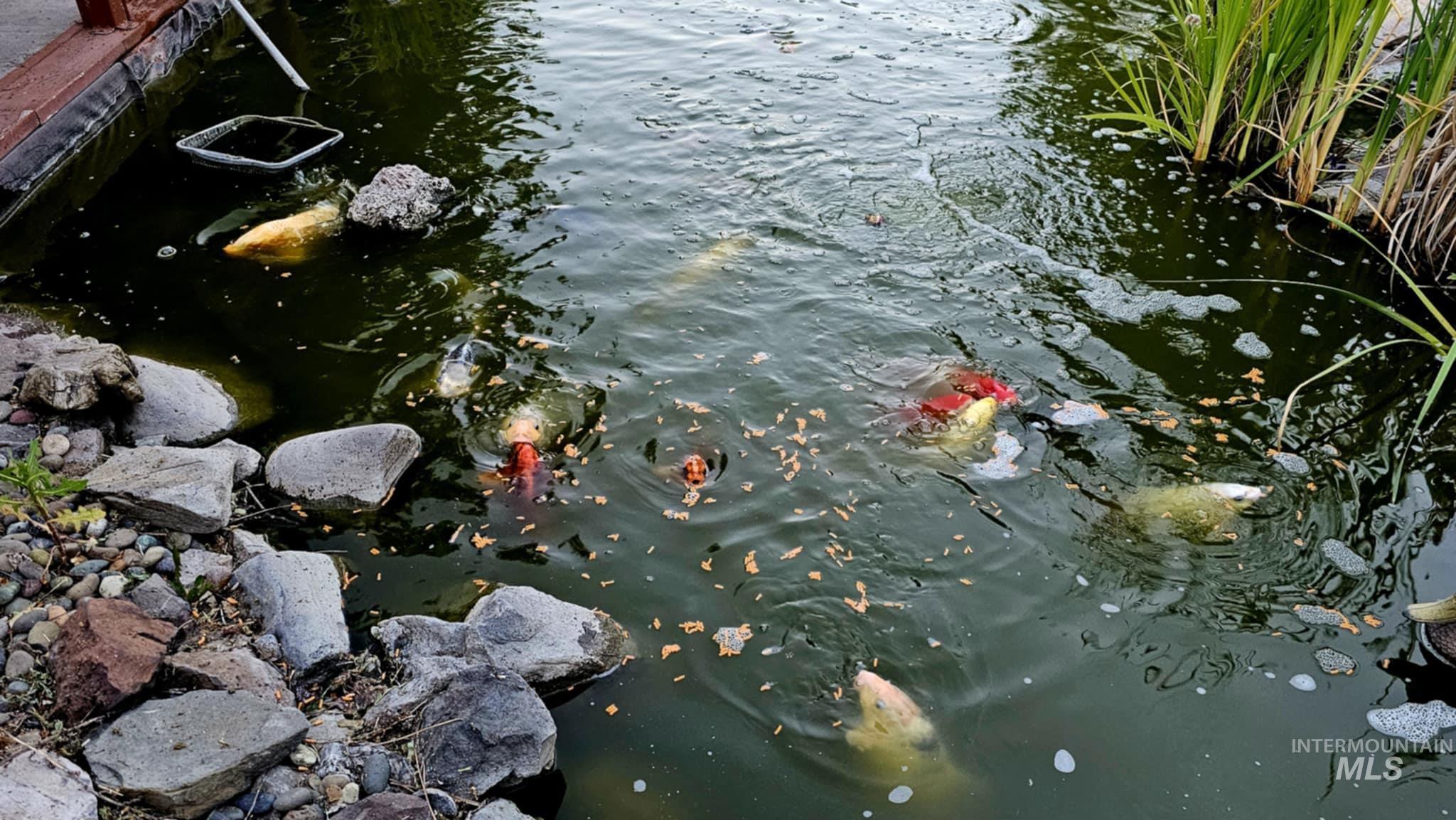 Water view