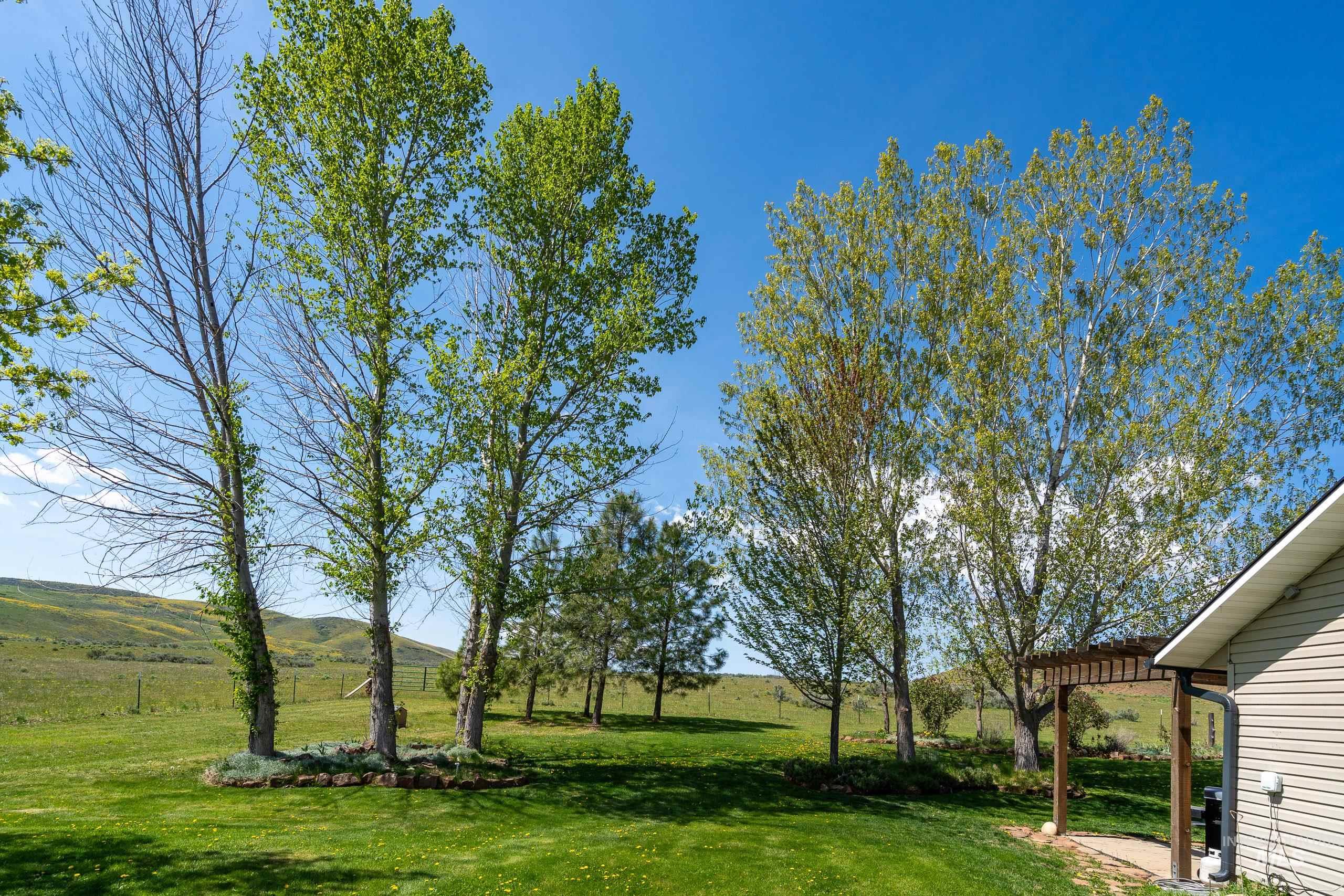 1821 Canyon Rd, Council, Idaho 83612, 3 Bedrooms, 2 Bathrooms, Residential For Sale, Price $799,000, 98946478