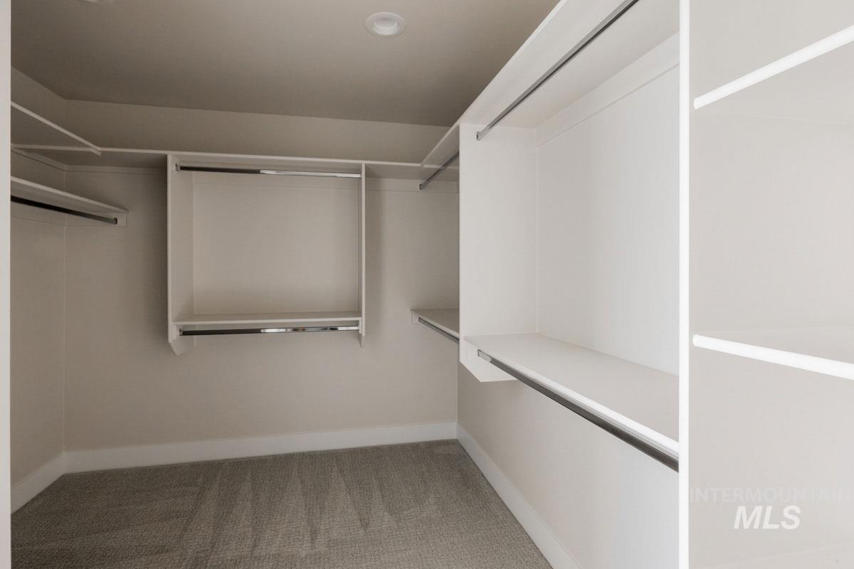 Spacious closet featuring carpet