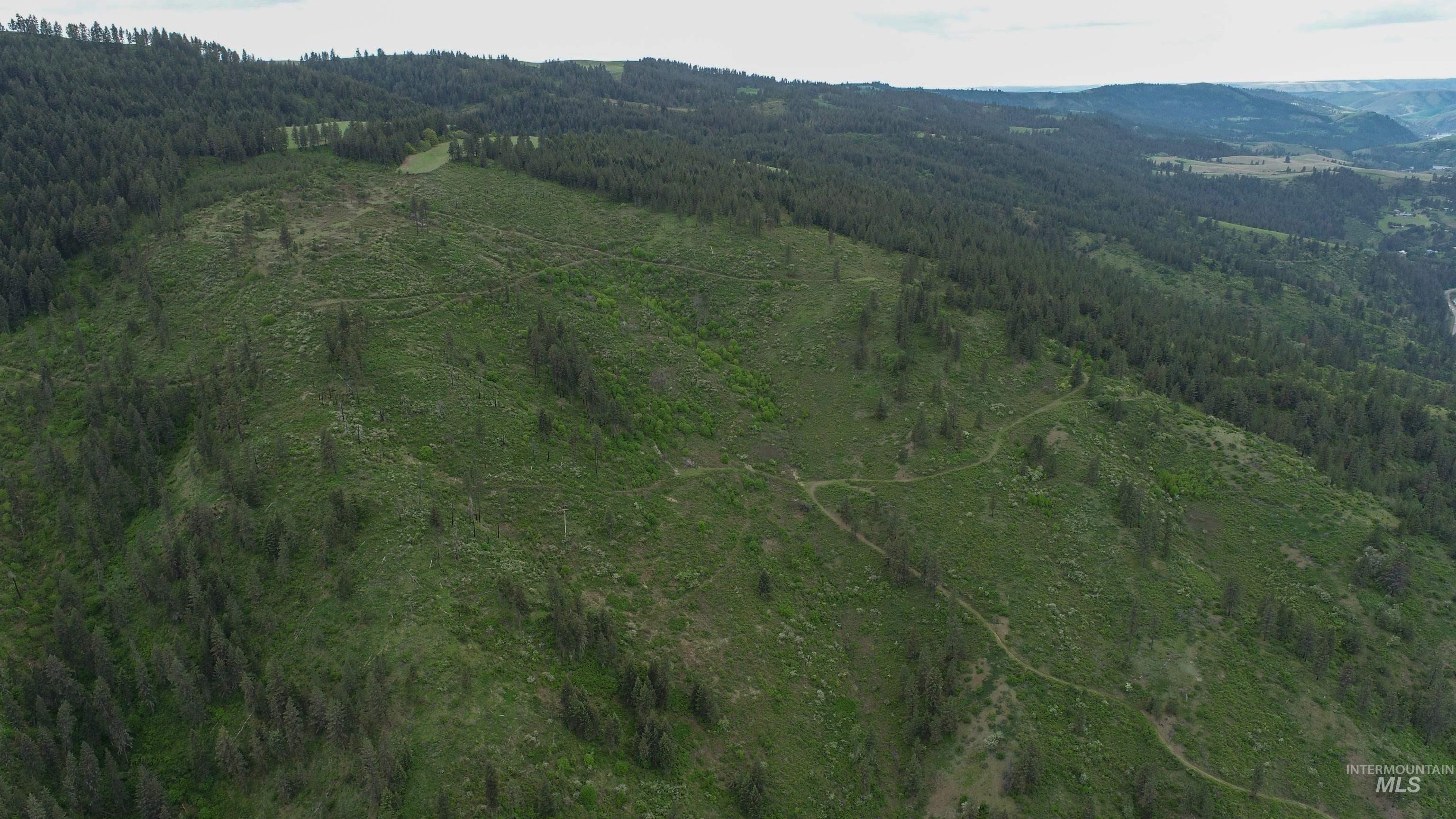 Ruaral Land Mile Marker 33 HWY 12, Peck, Idaho 83545, Land For Sale, Price $1,250,000, 98946518