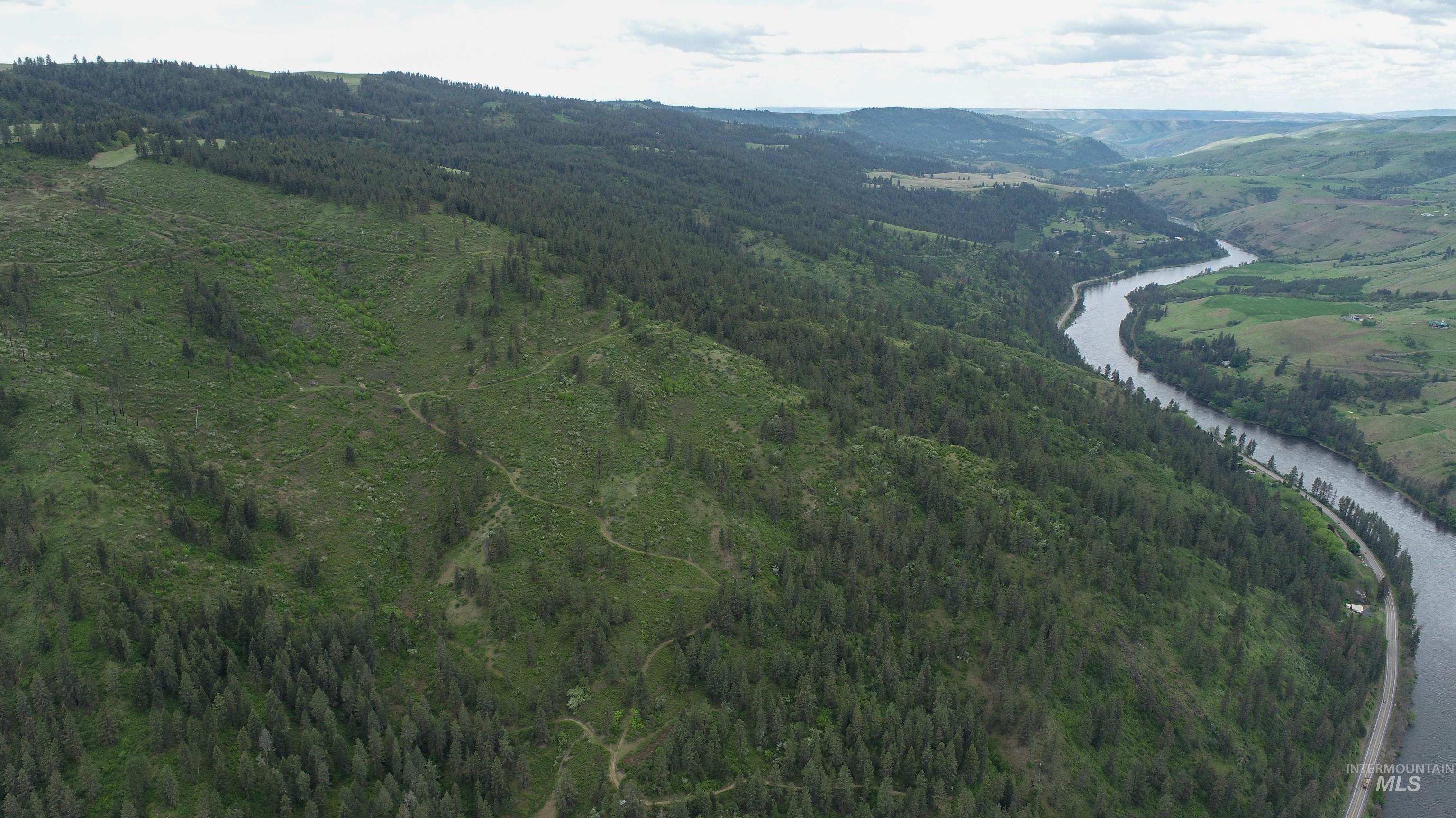 Ruaral Land Mile Marker 33 HWY 12, Peck, Idaho 83545, Land For Sale, Price $1,250,000, 98946518