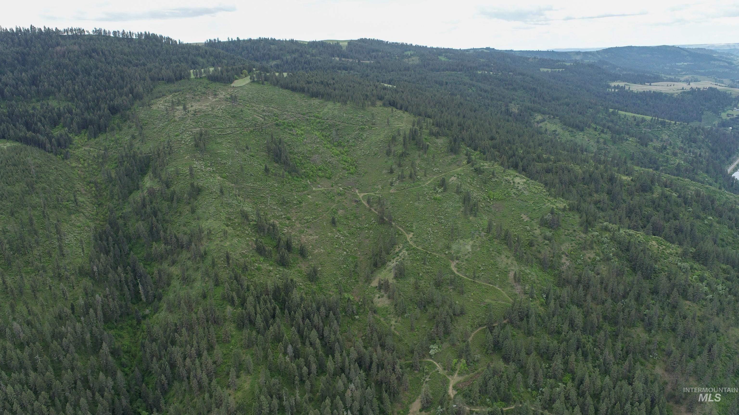 Ruaral Land Mile Marker 33 HWY 12, Peck, Idaho 83545, Land For Sale, Price $1,250,000, 98946518