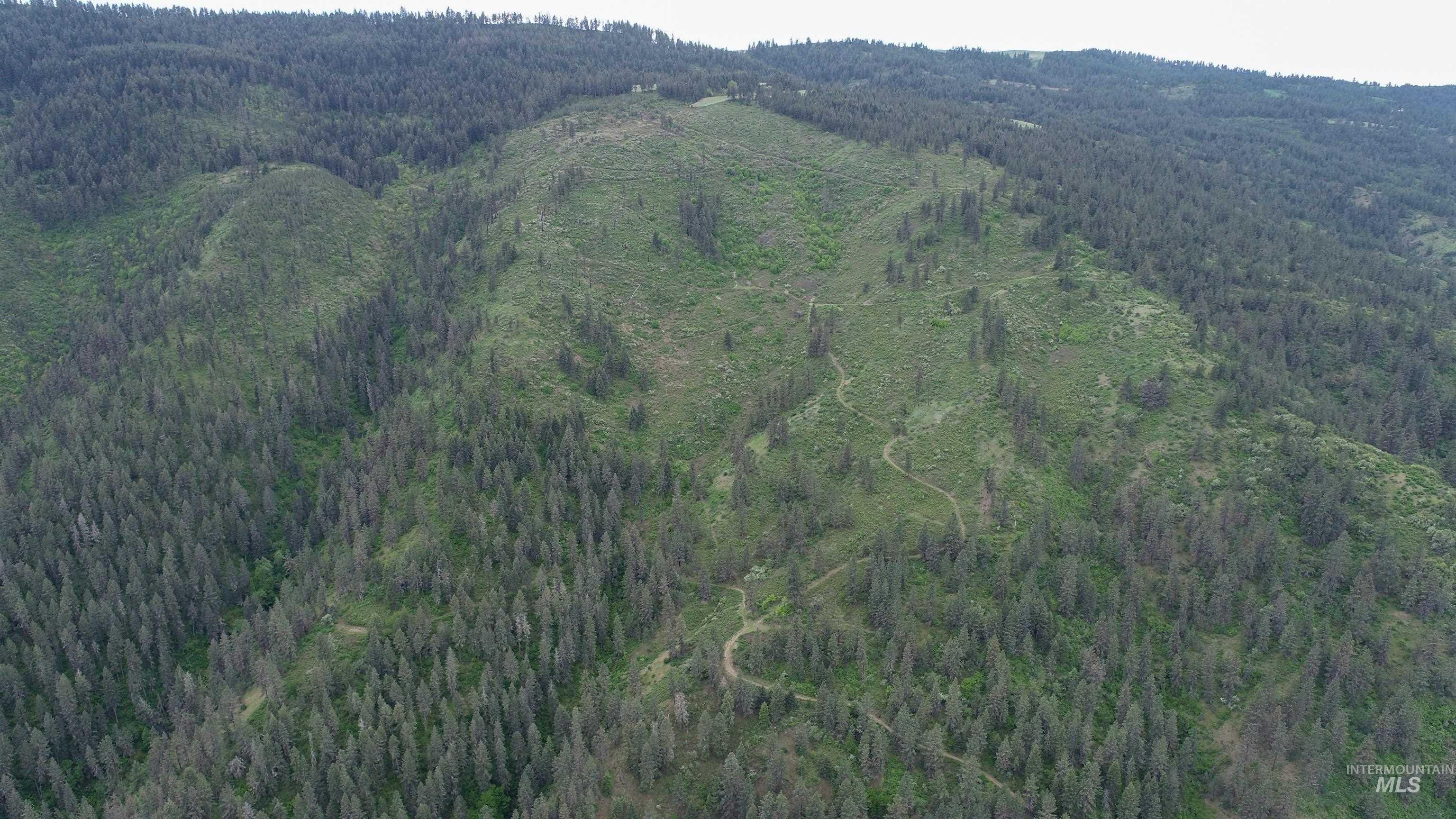 Ruaral Land Mile Marker 33 HWY 12, Peck, Idaho 83545, Land For Sale, Price $1,250,000, 98946518