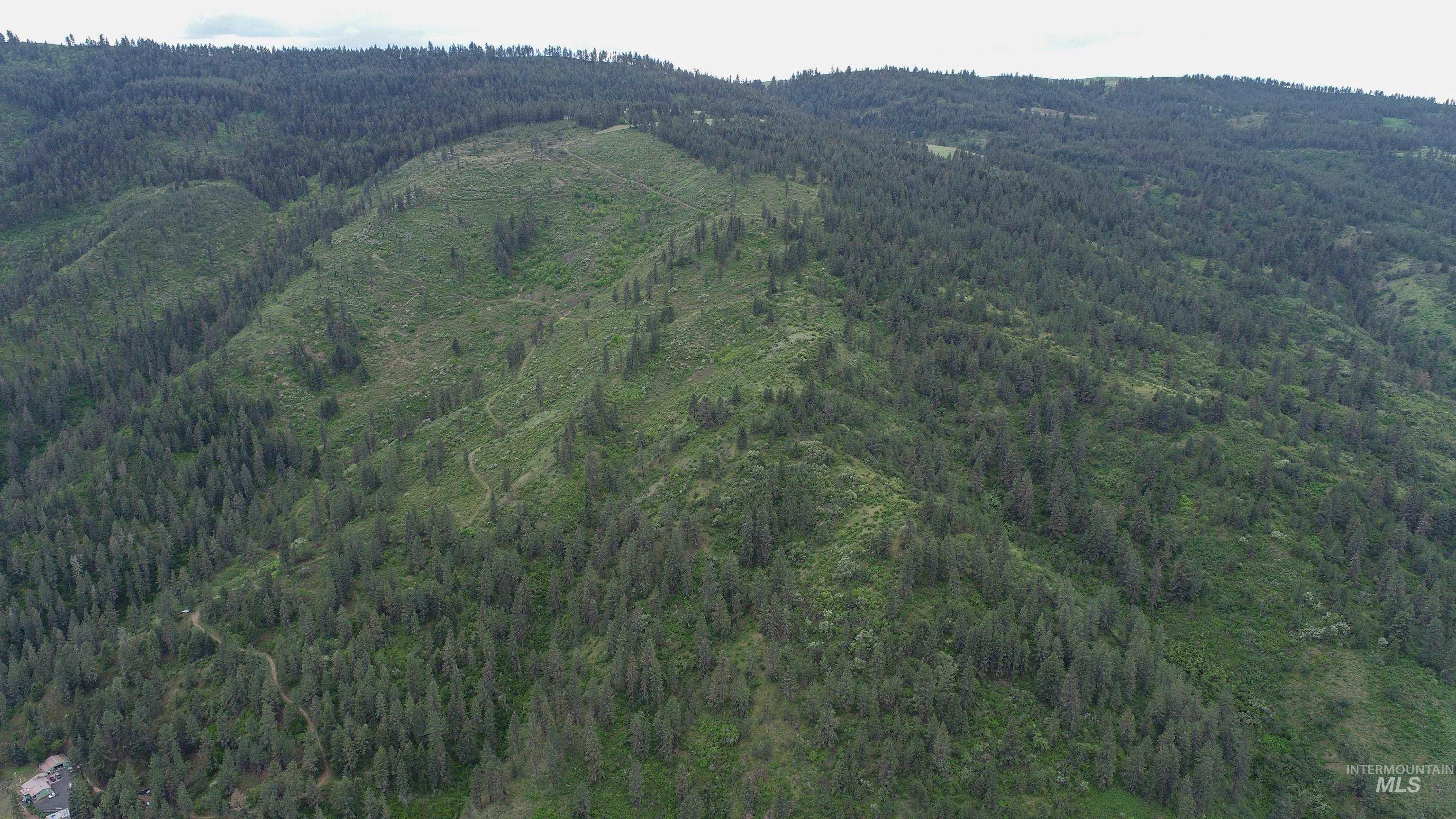 Ruaral Land Mile Marker 33 HWY 12, Peck, Idaho 83545, Land For Sale, Price $1,250,000, 98946518