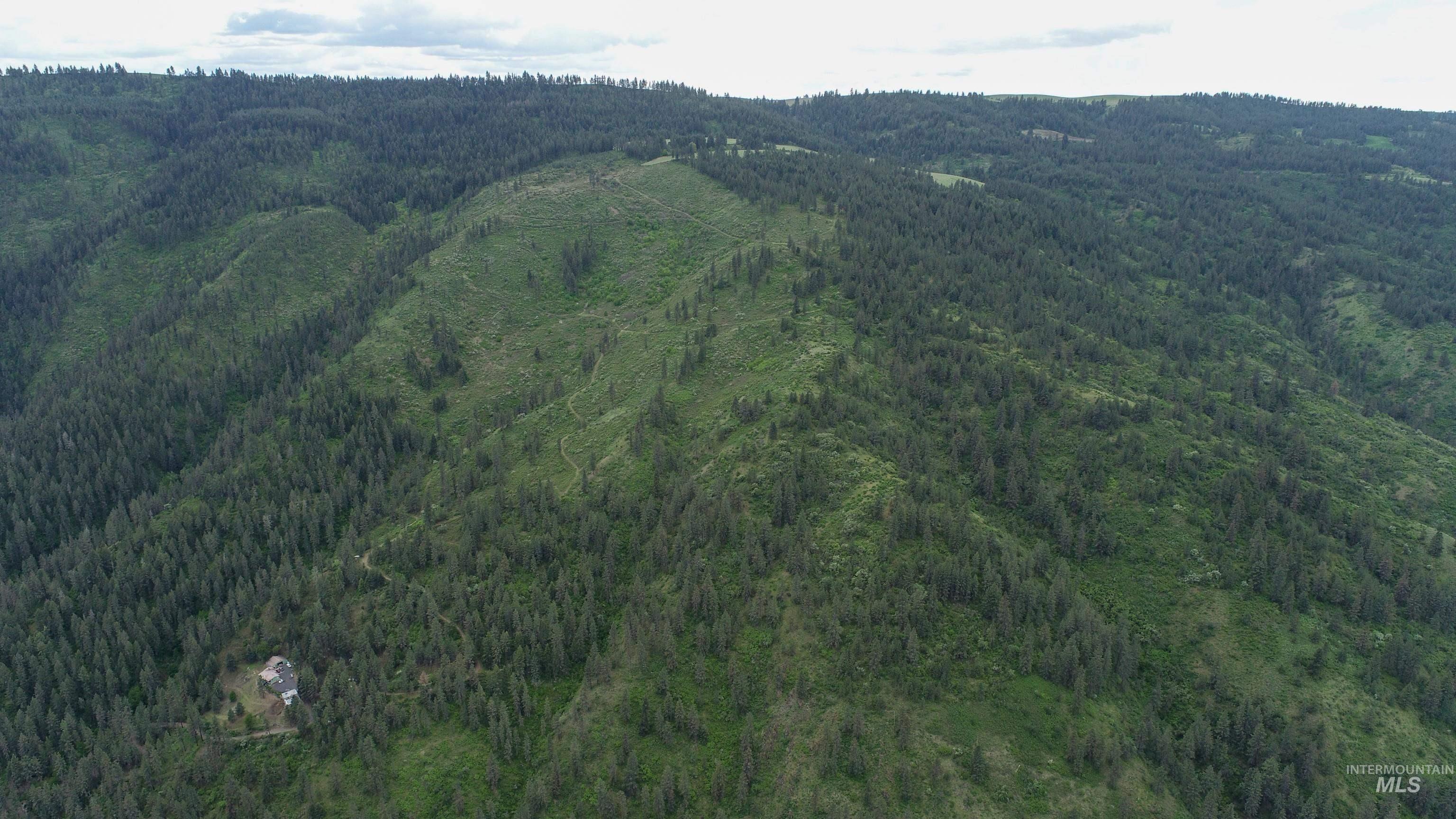 Ruaral Land Mile Marker 33 HWY 12, Peck, Idaho 83545, Land For Sale, Price $1,250,000, 98946518