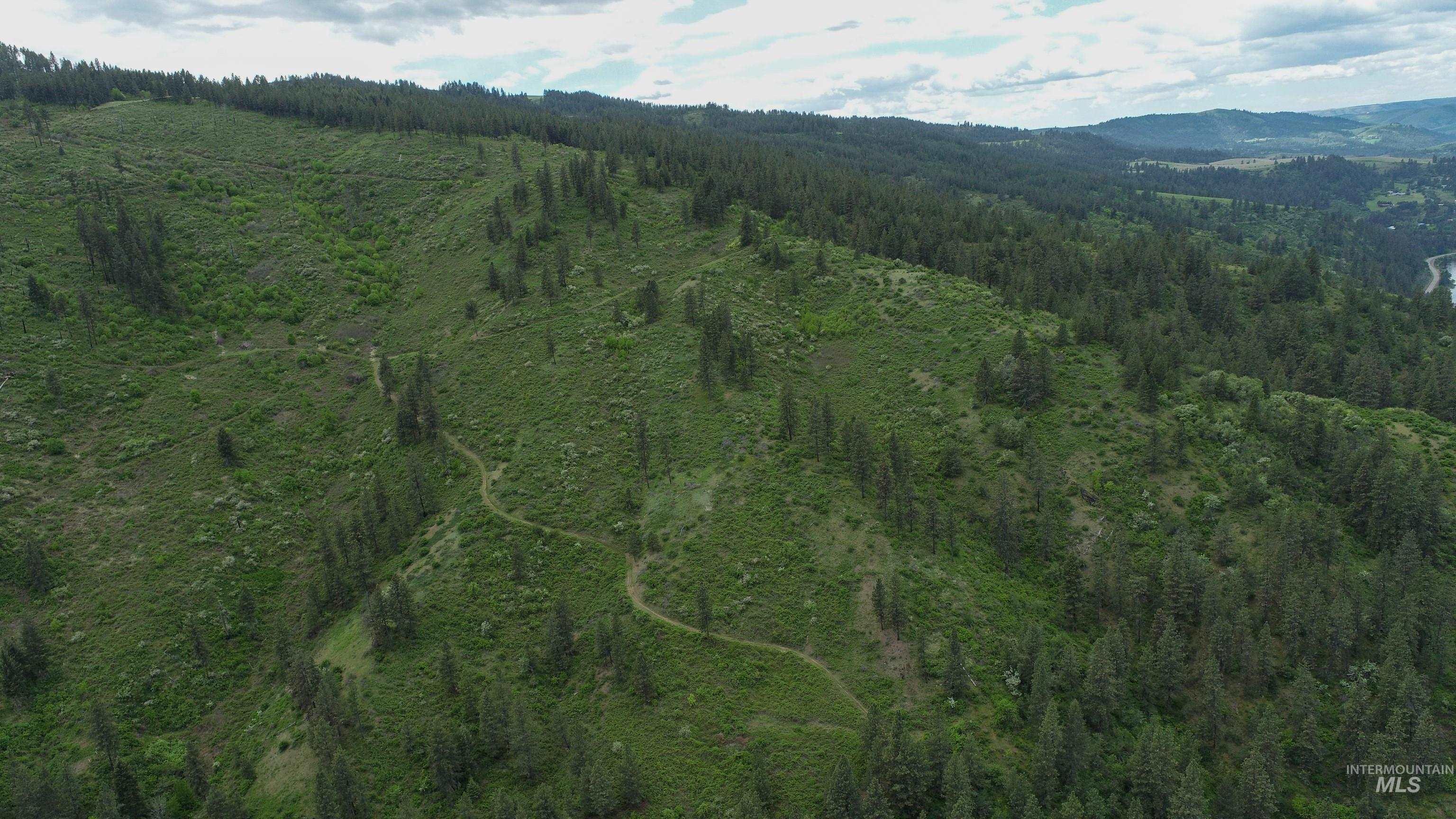 Ruaral Land Mile Marker 33 HWY 12, Peck, Idaho 83545, Land For Sale, Price $1,250,000, 98946518