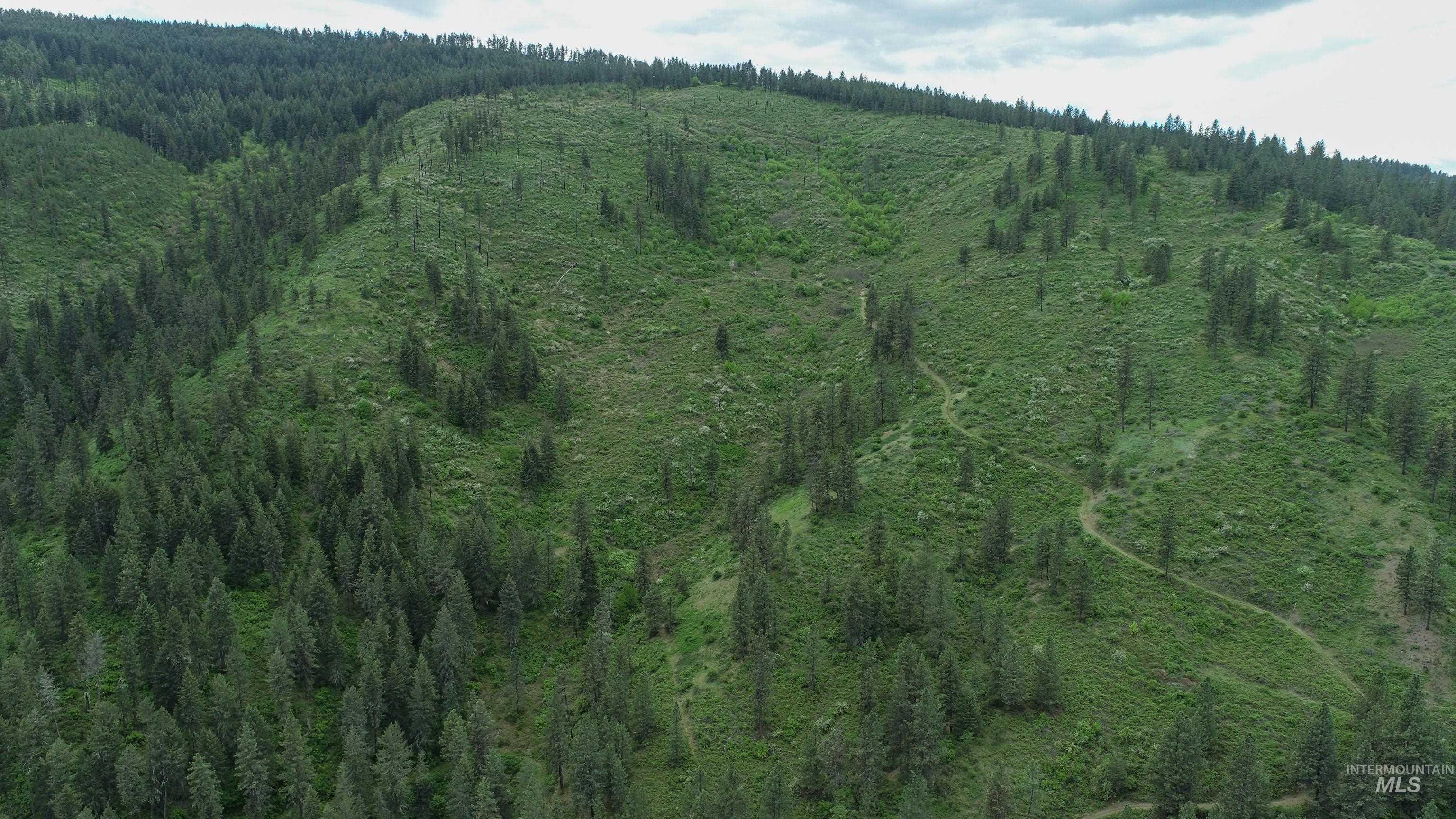 Ruaral Land Mile Marker 33 HWY 12, Peck, Idaho 83545, Land For Sale, Price $1,250,000, 98946518