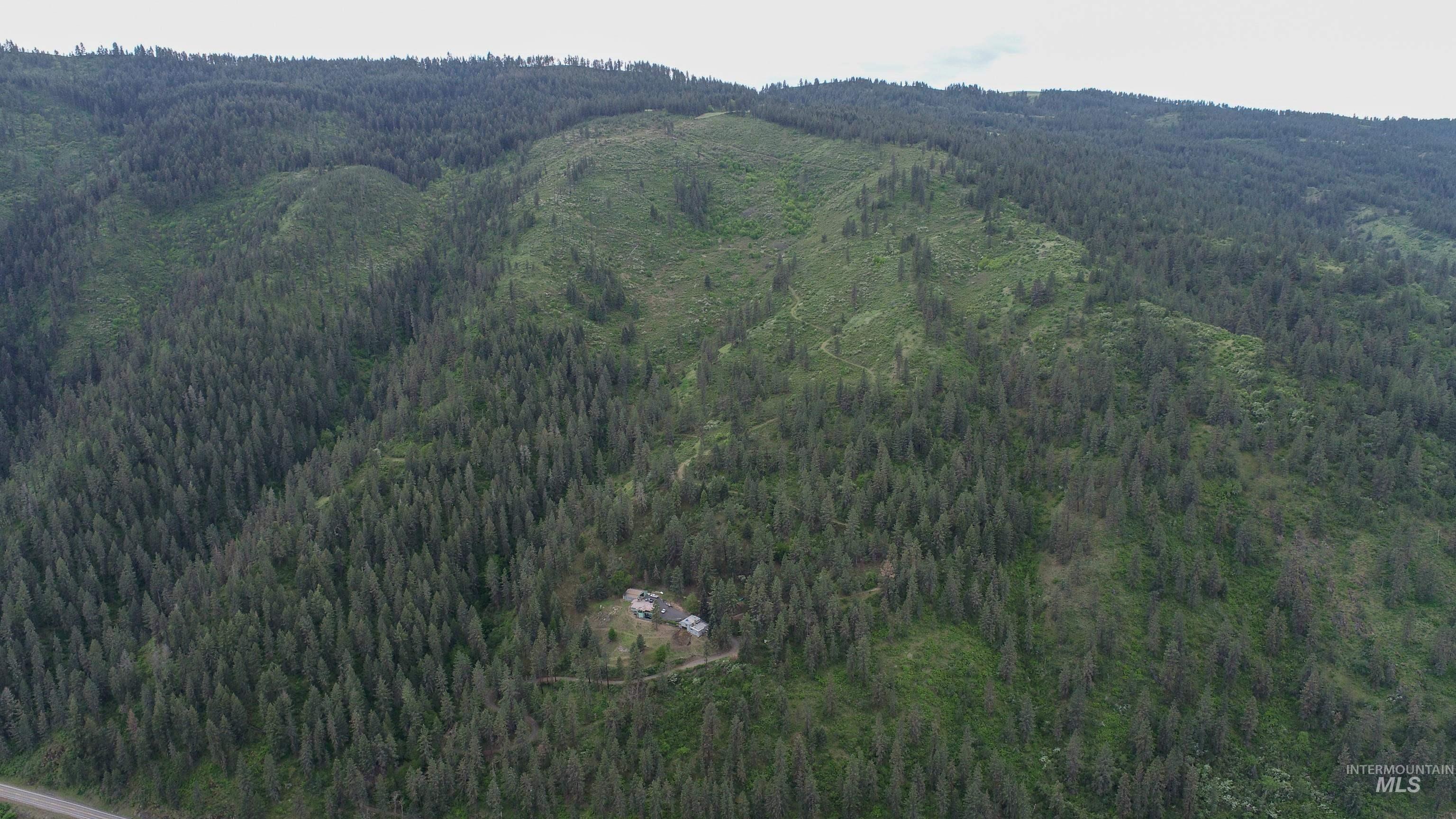 Ruaral Land Mile Marker 33 HWY 12, Peck, Idaho 83545, Land For Sale, Price $1,250,000, 98946518