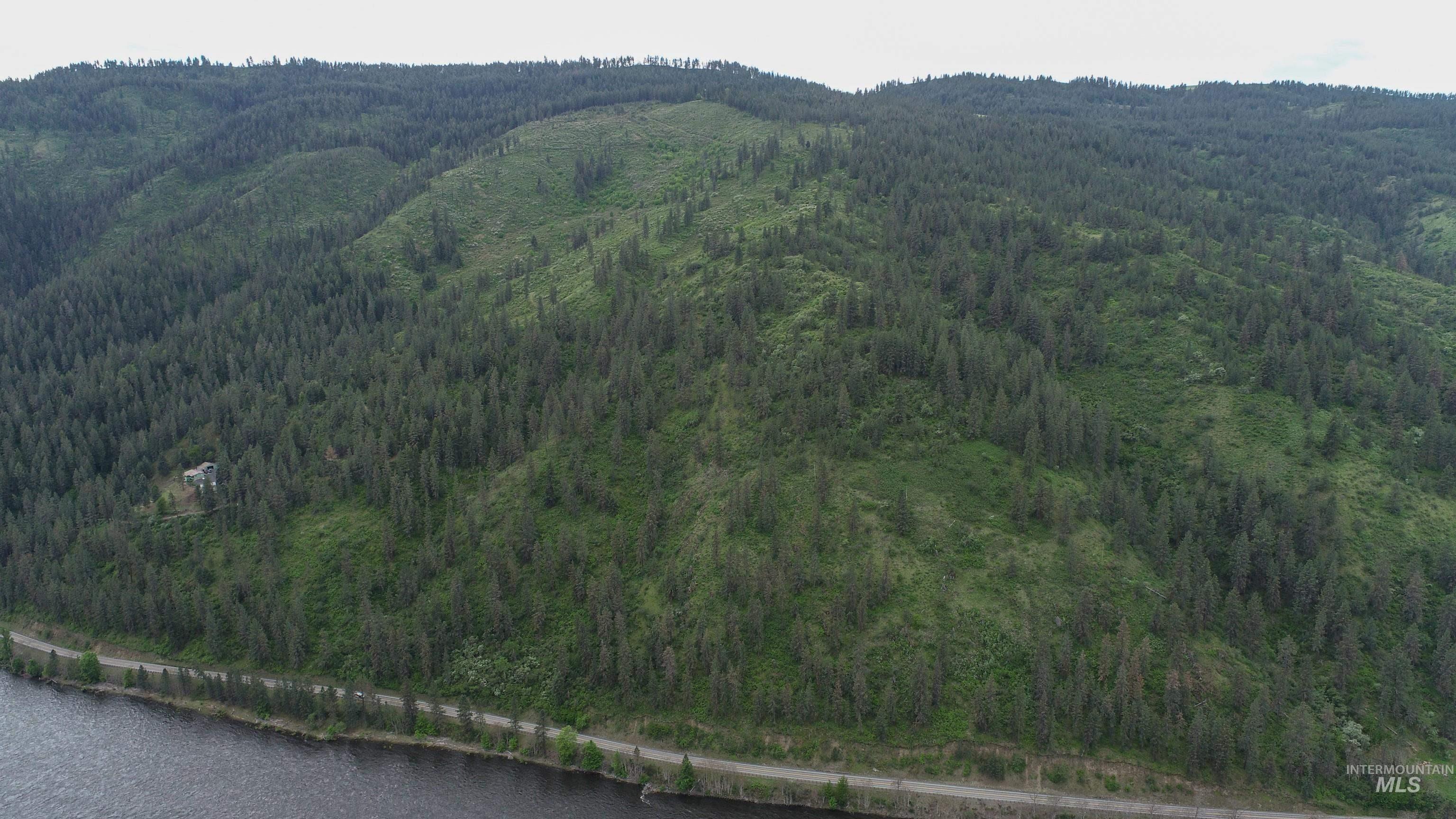 Ruaral Land Mile Marker 33 HWY 12, Peck, Idaho 83545, Land For Sale, Price $1,250,000, 98946518