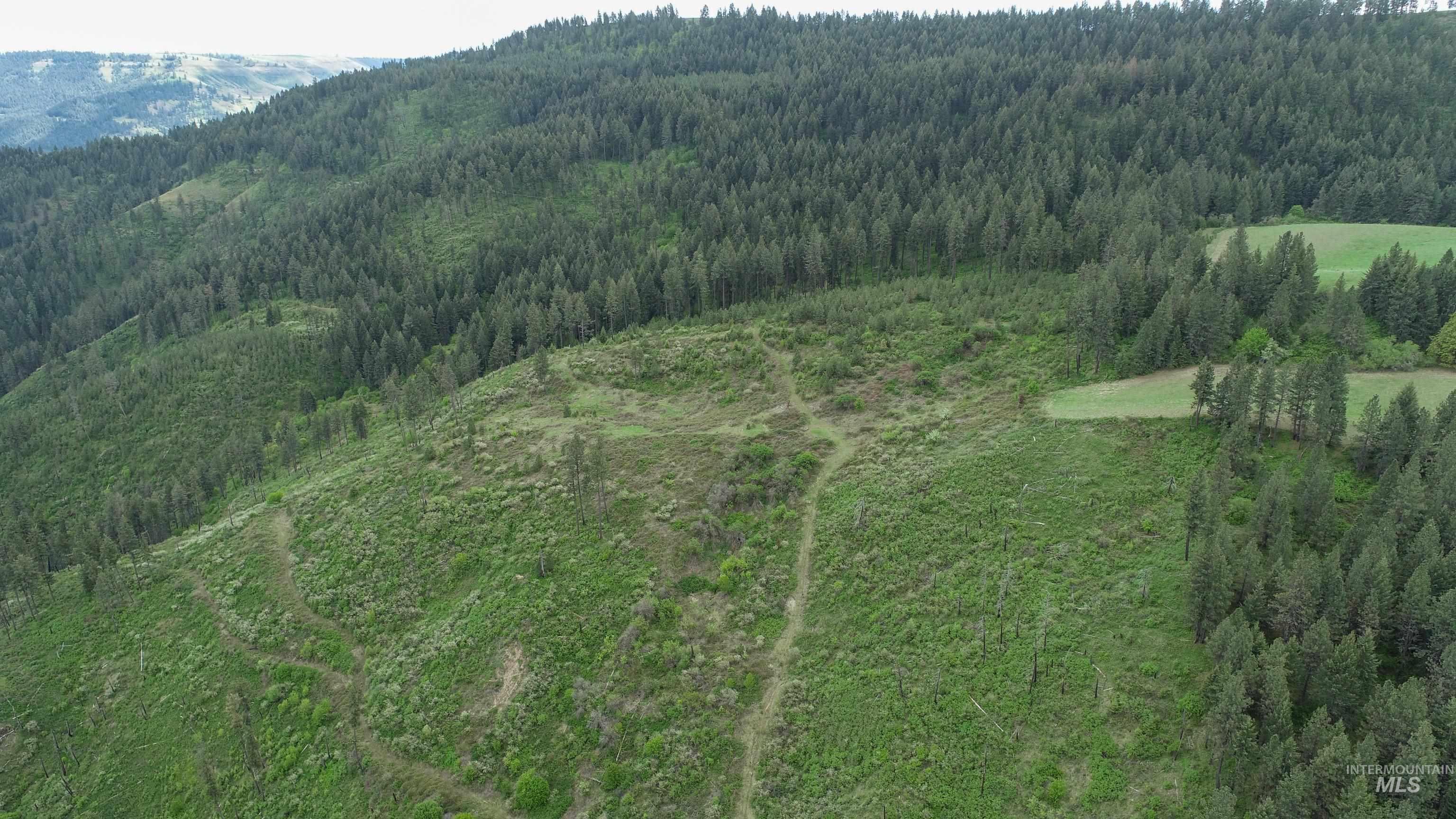 Ruaral Land Mile Marker 33 HWY 12, Peck, Idaho 83545, Land For Sale, Price $1,250,000, 98946518