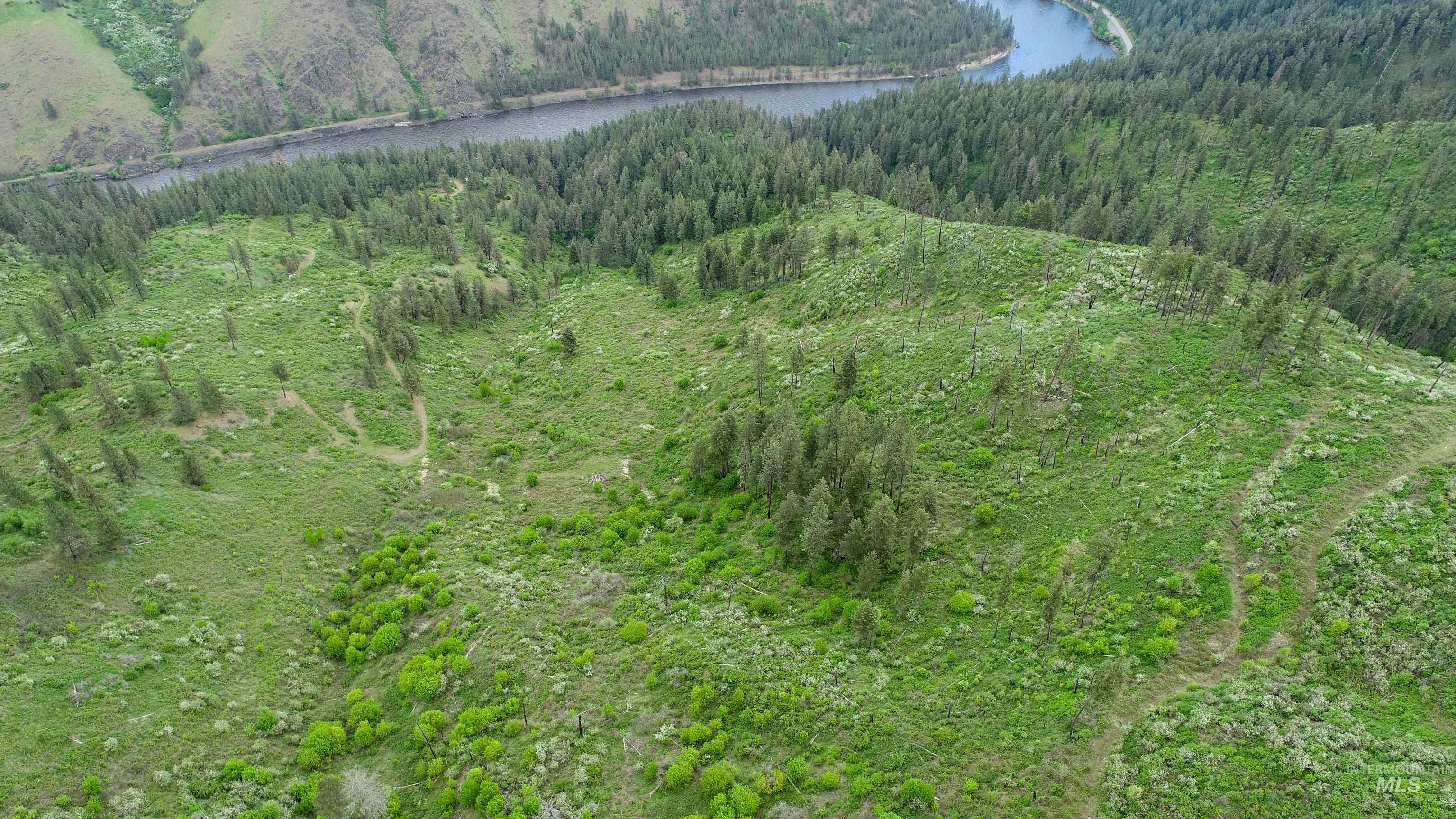 Ruaral Land Mile Marker 33 HWY 12, Peck, Idaho 83545, Land For Sale, Price $1,250,000, 98946518