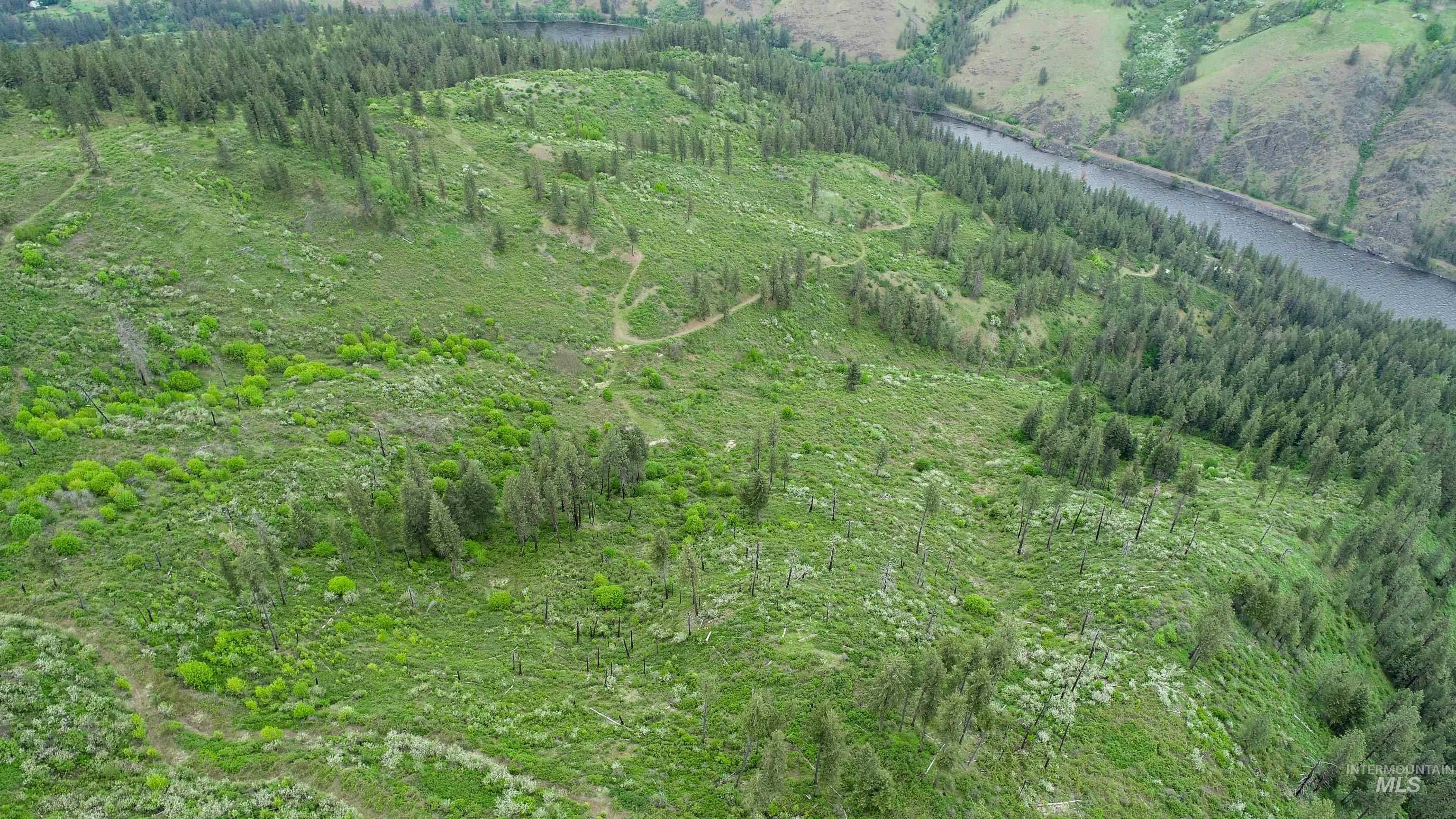 Ruaral Land Mile Marker 33 HWY 12, Peck, Idaho 83545, Land For Sale, Price $1,250,000, 98946518