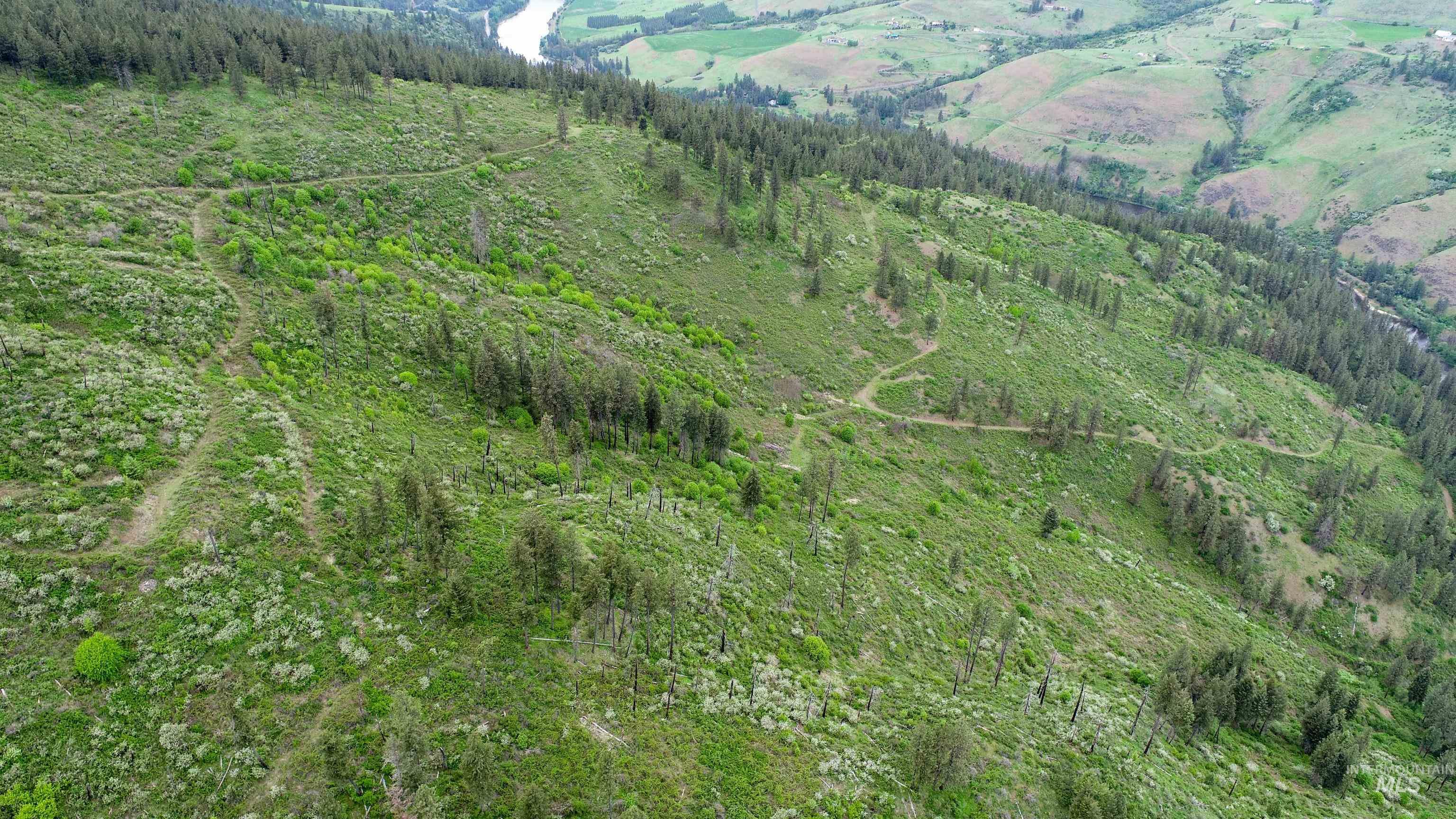 Ruaral Land Mile Marker 33 HWY 12, Peck, Idaho 83545, Land For Sale, Price $1,250,000, 98946518