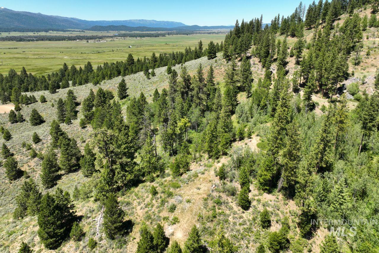 77 Alpha View Place, Cascade, Idaho 83611, Land For Sale, Price $349,000, 98946533