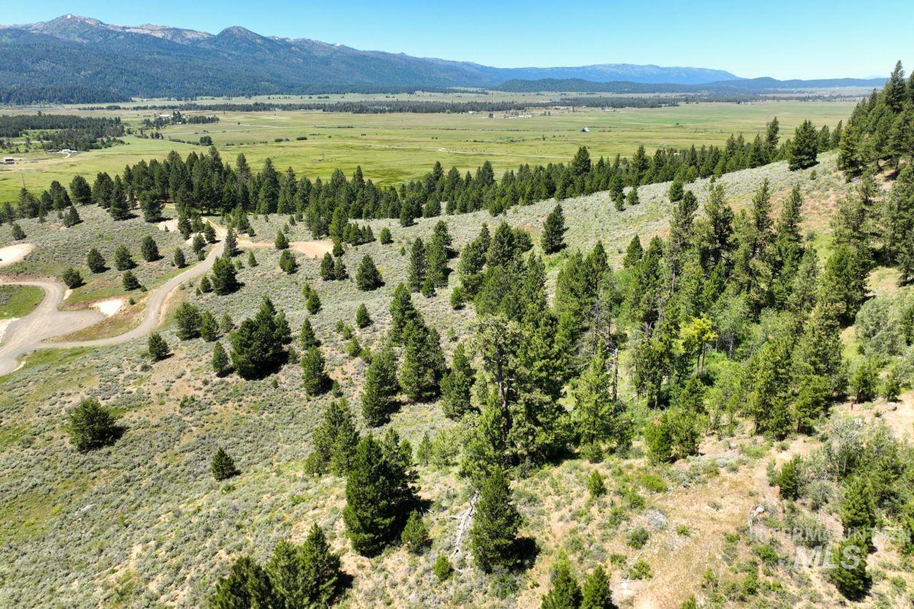 77 Alpha View Place, Cascade, Idaho 83611, Land For Sale, Price $349,000, 98946533