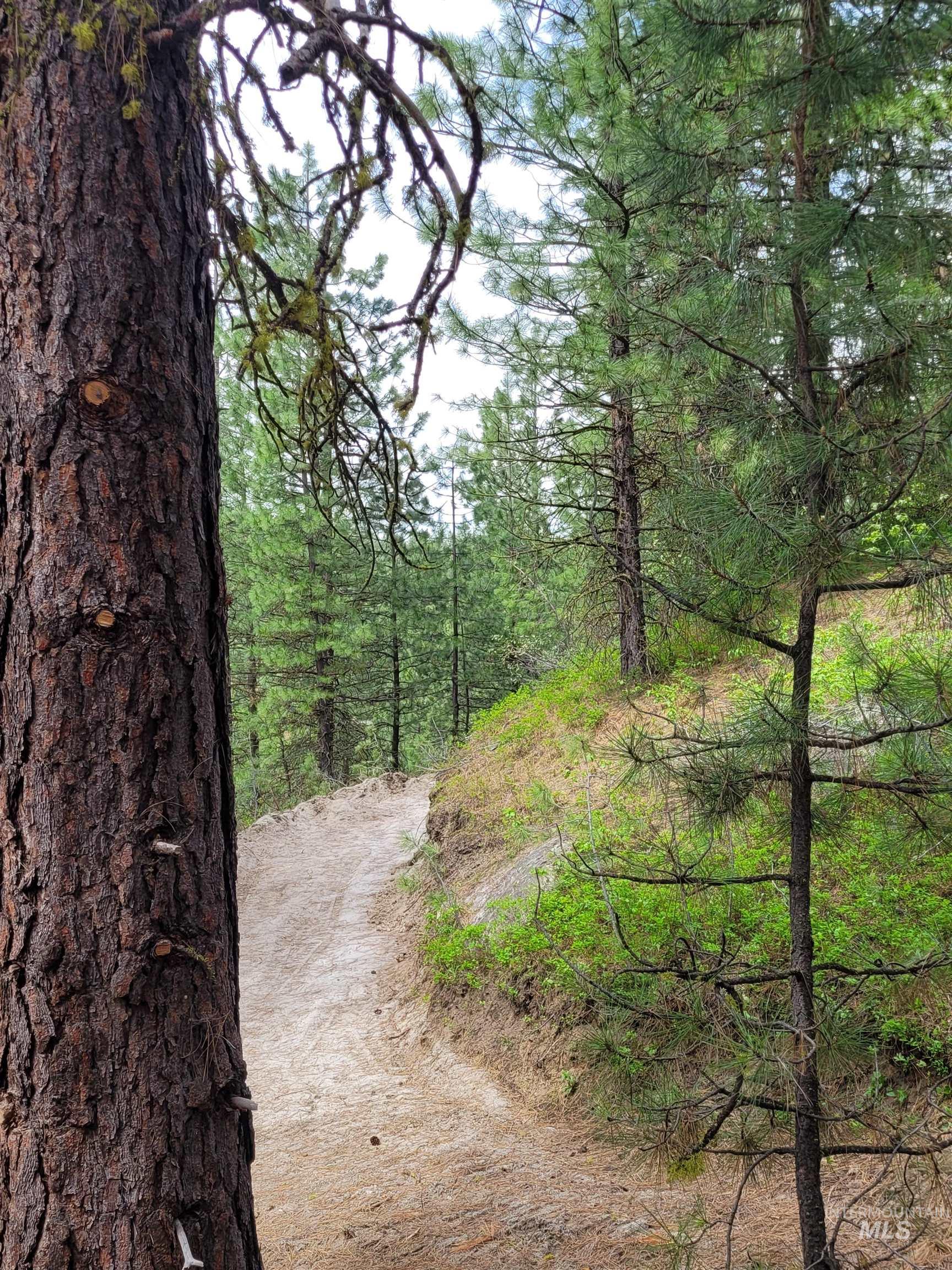 Lot 12 Payette River Ranch, Banks, Idaho 83602, Land For Sale, Price $230,000, 98946536