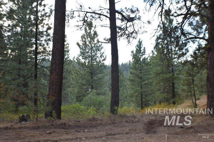 Lot 12 Payette River Ranch, Banks, Idaho 83602, Land For Sale, Price $230,000, 98946536