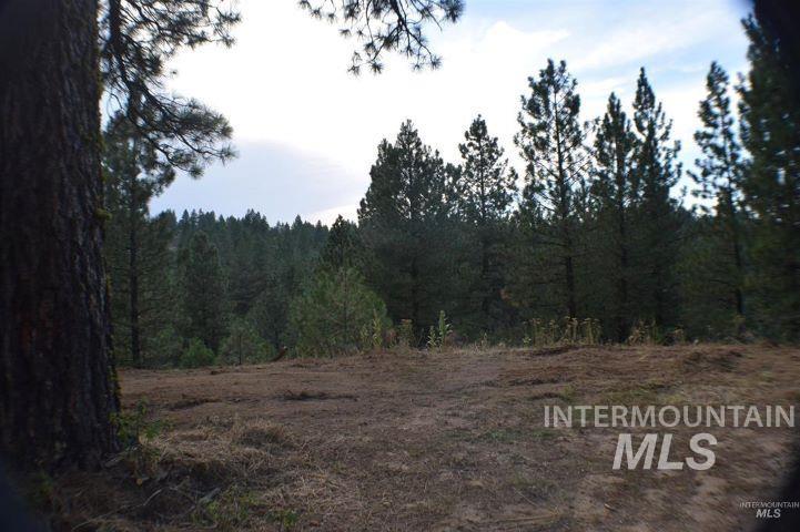 Lot 12 Payette River Ranch, Banks, Idaho 83602, Land For Sale, Price $230,000, 98946536