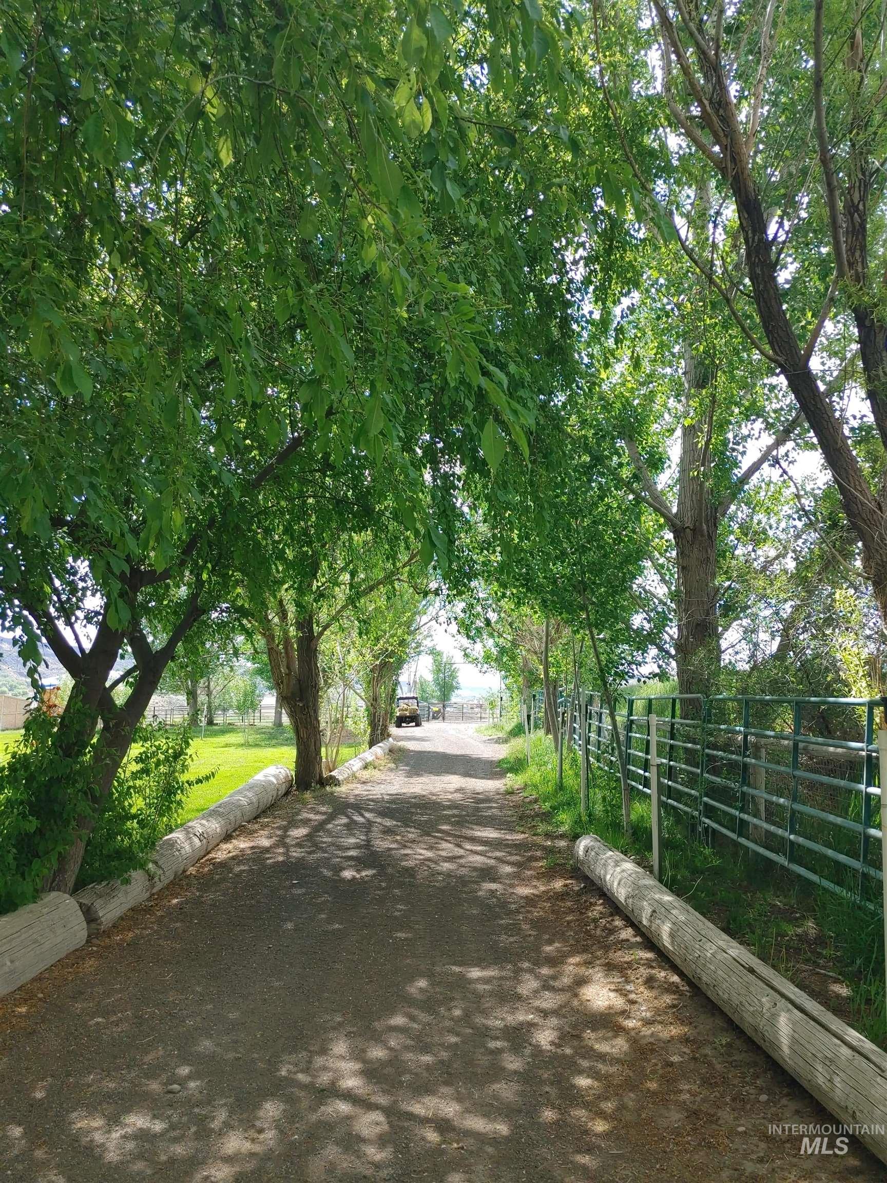 View of road