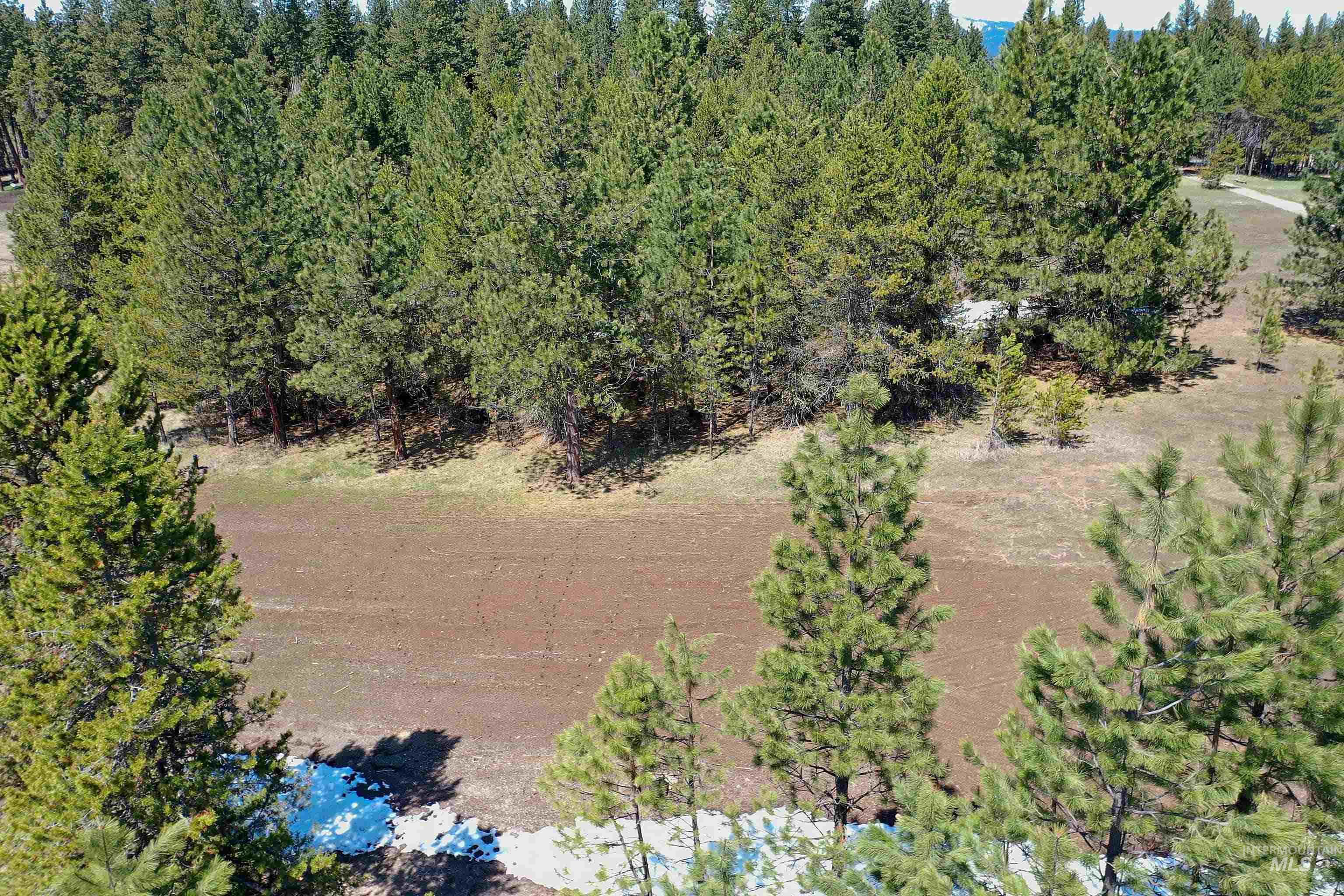 TBD Moon Drive, McCall, Idaho 83638, Land For Sale, Price $249,000, 98946599