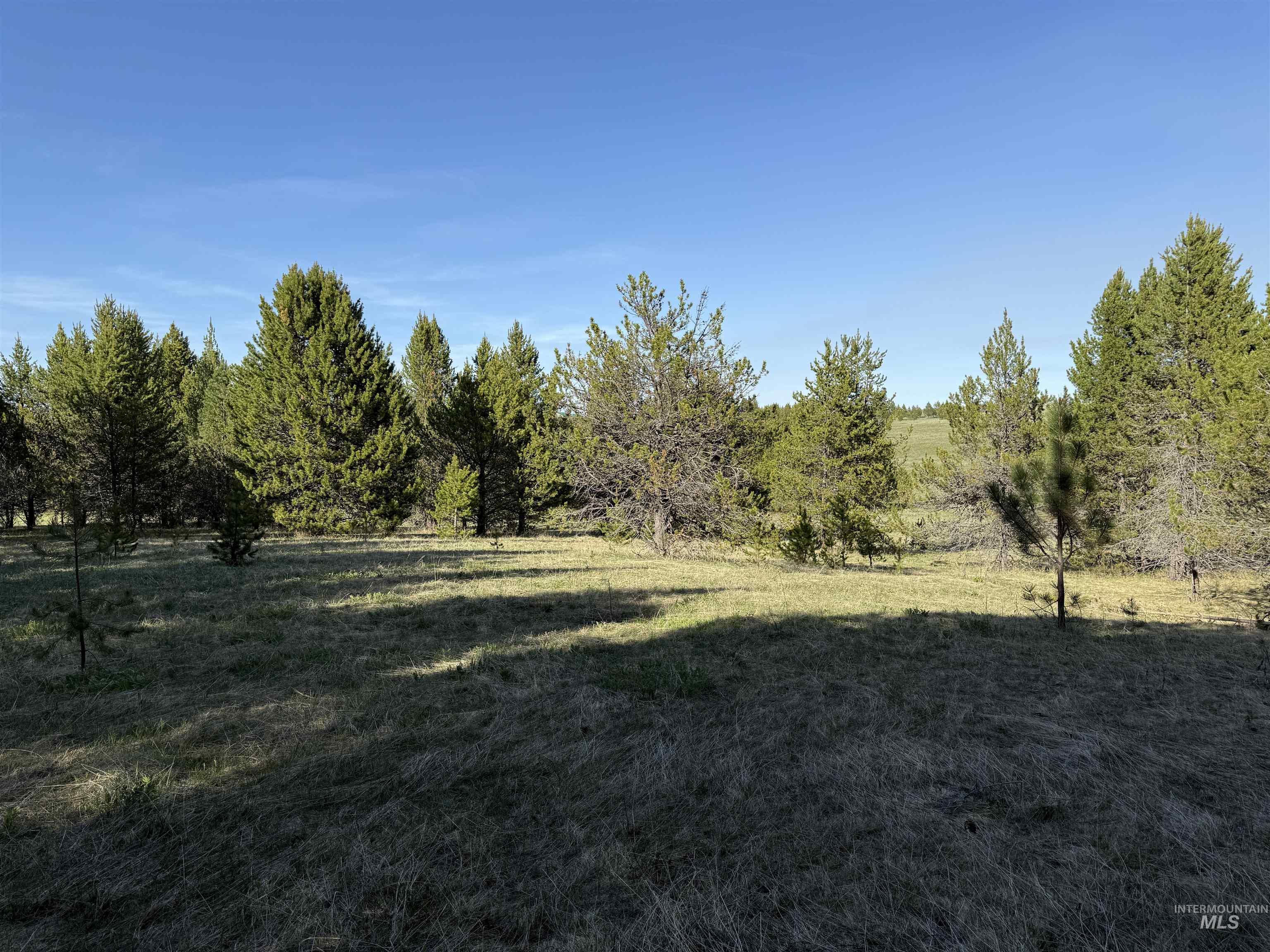 TBD Stevens Rd, Winchester, Idaho 83555, Land For Sale, Price $879,900, 98946613
