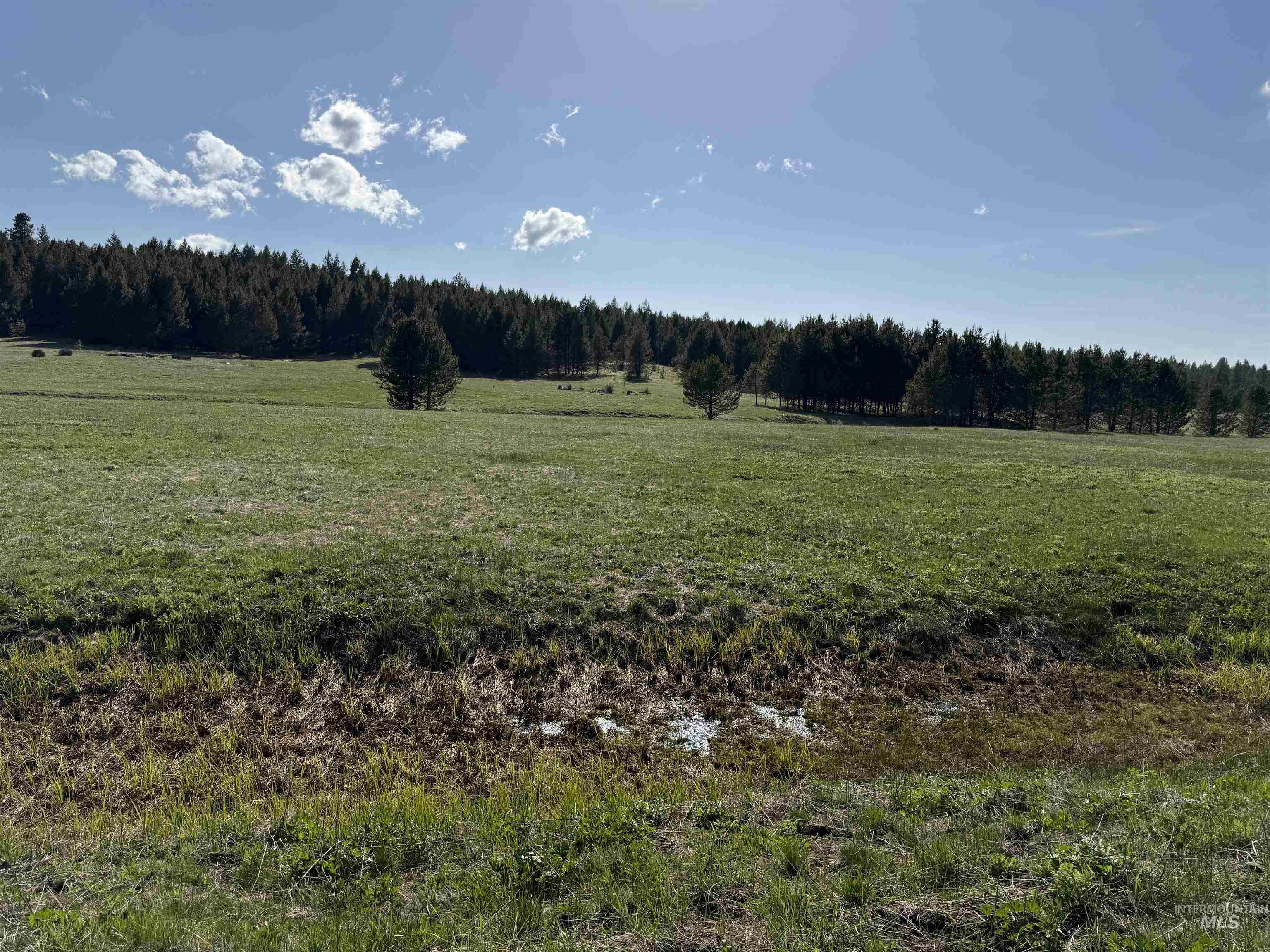 TBD Stevens Rd, Winchester, Idaho 83555, Land For Sale, Price $879,900, 98946613
