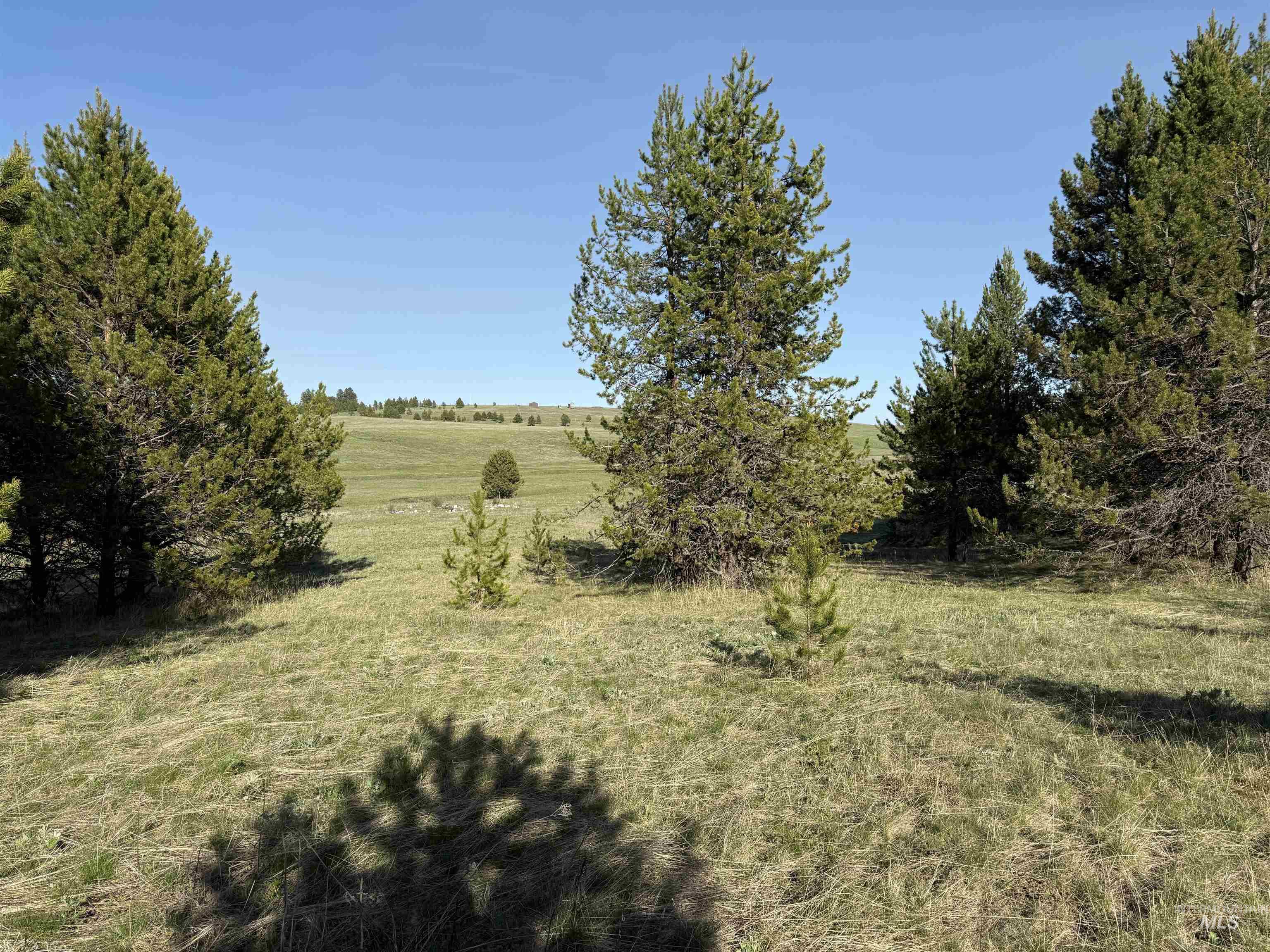 TBD Stevens Rd, Winchester, Idaho 83555, Land For Sale, Price $879,900, 98946613