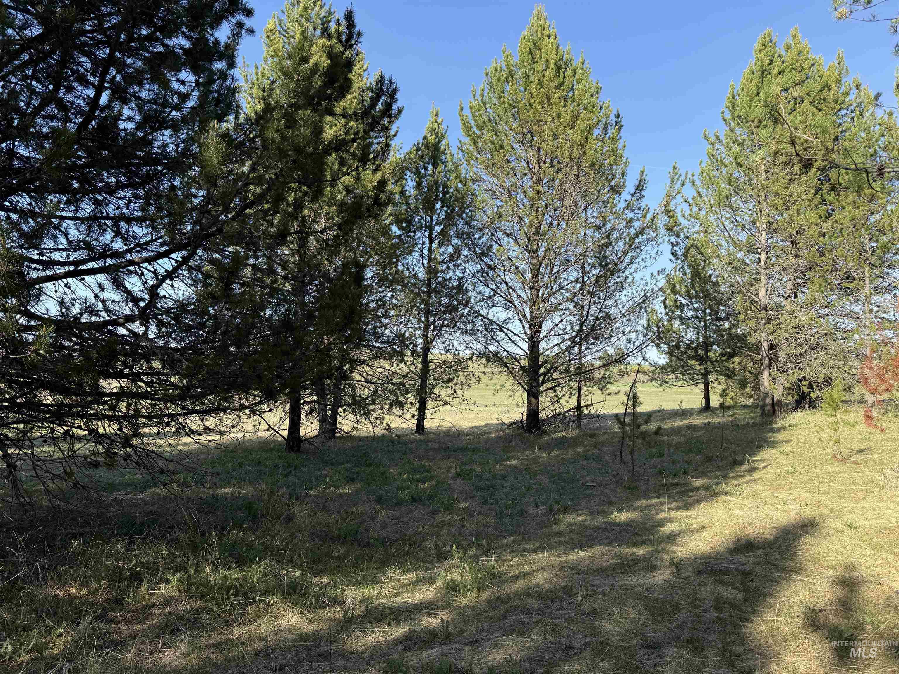 TBD Stevens Rd, Winchester, Idaho 83555, Land For Sale, Price $879,900, 98946613