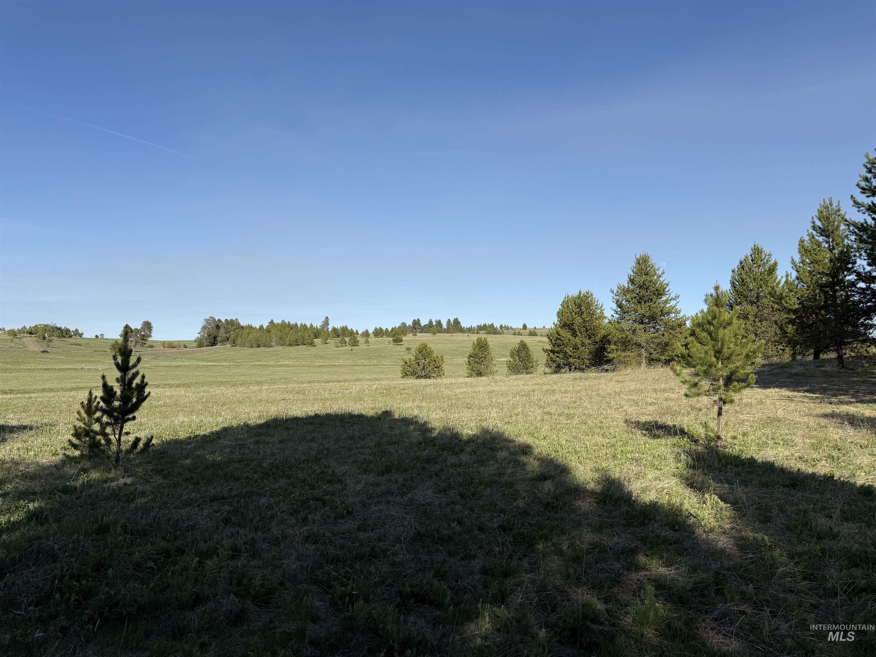 TBD Stevens Rd, Winchester, Idaho 83555, Land For Sale, Price $879,900, 98946613
