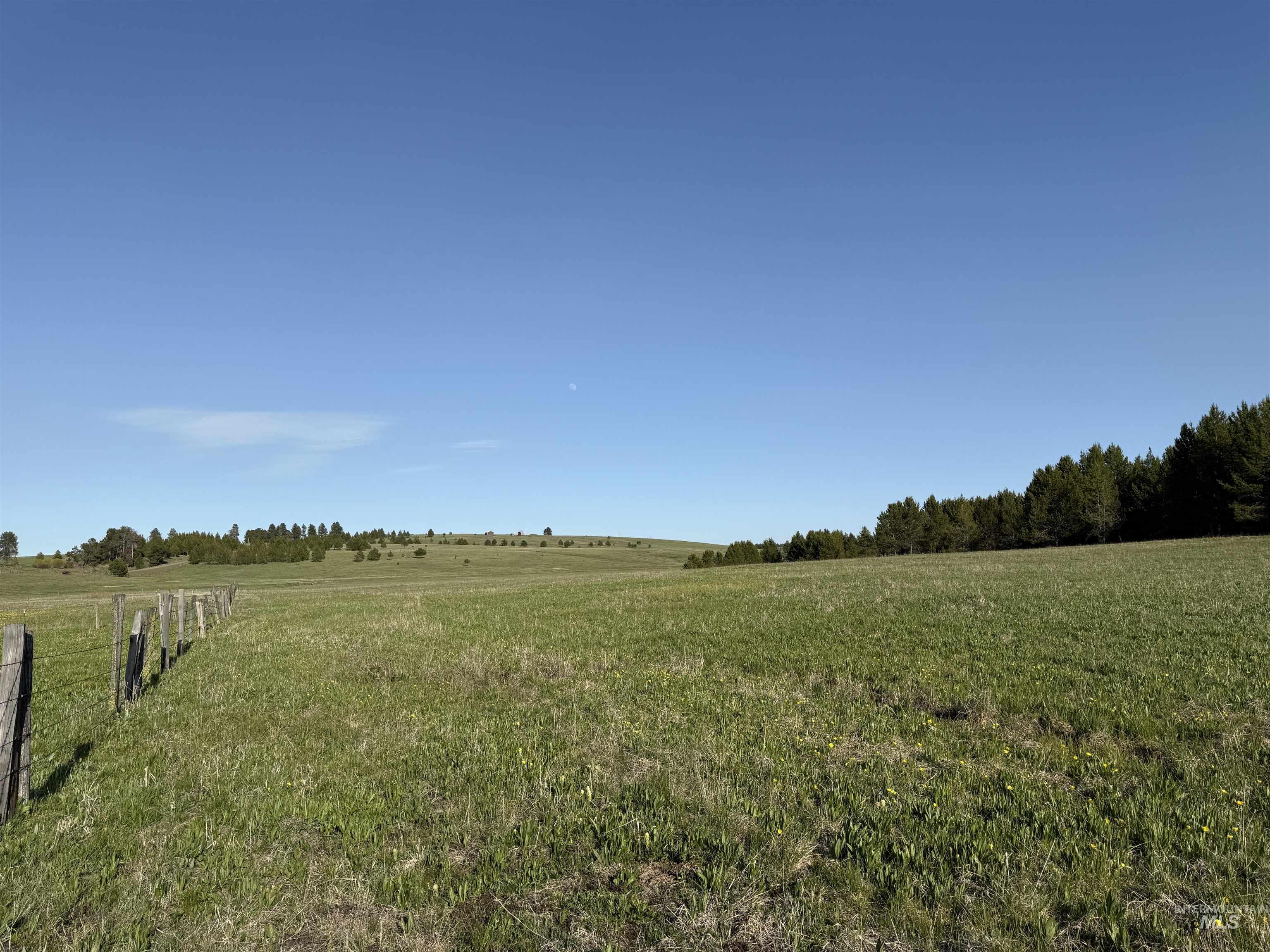 TBD Stevens Rd, Winchester, Idaho 83555, Land For Sale, Price $879,900, 98946613