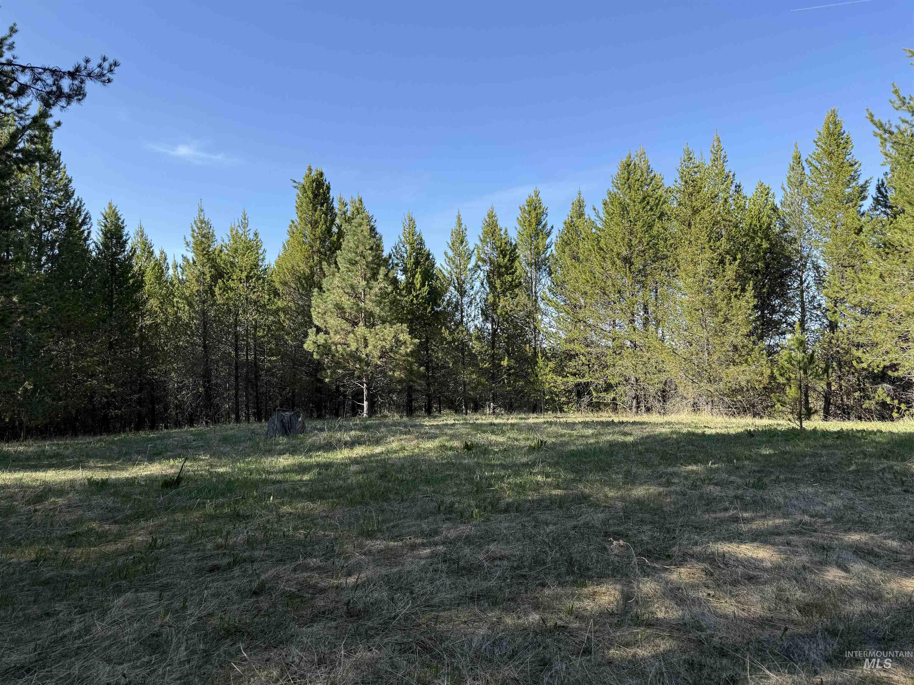 TBD Stevens Rd, Winchester, Idaho 83555, Land For Sale, Price $879,900, 98946613