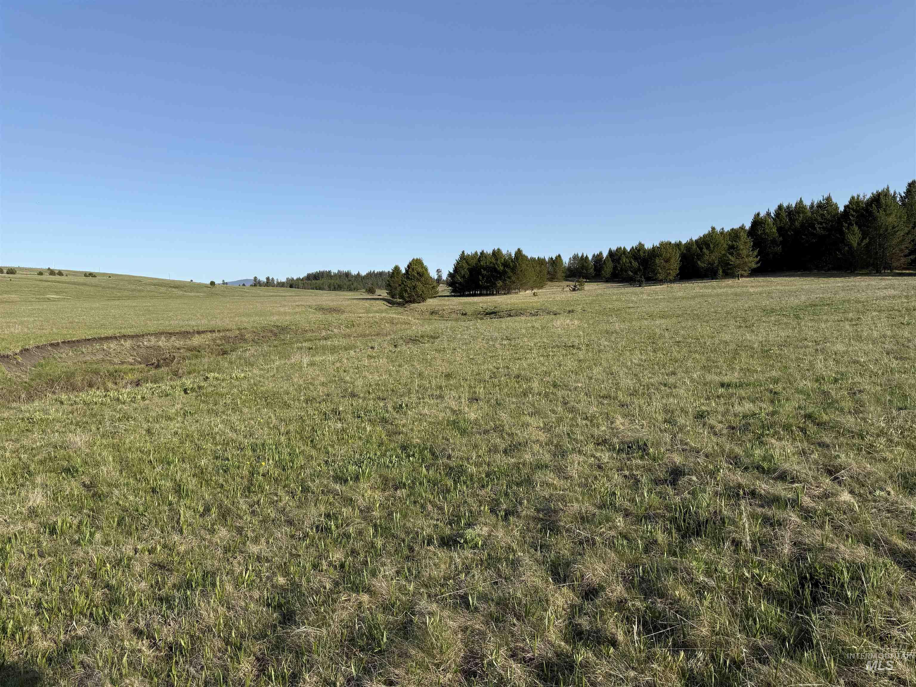 TBD Stevens Rd, Winchester, Idaho 83555, Land For Sale, Price $879,900, 98946613