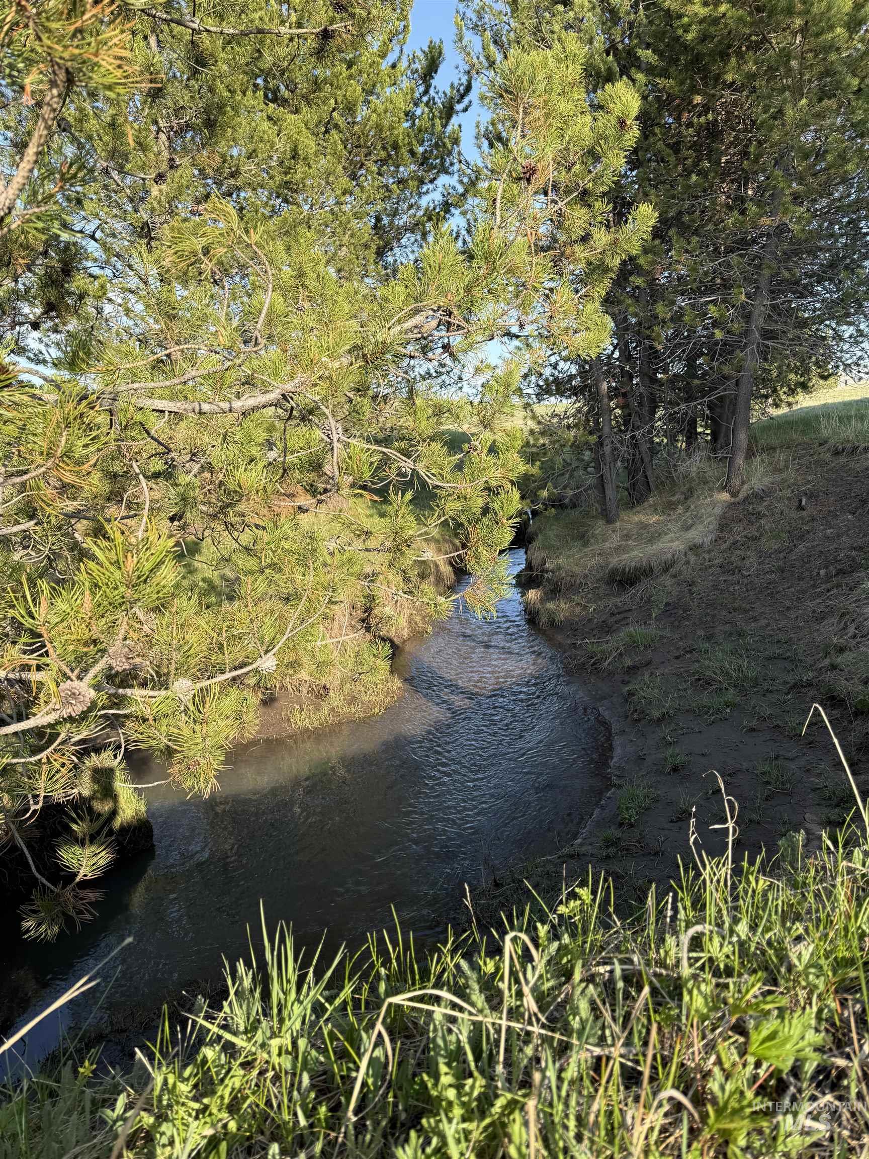 TBD Stevens Rd, Winchester, Idaho 83555, Land For Sale, Price $879,900, 98946613