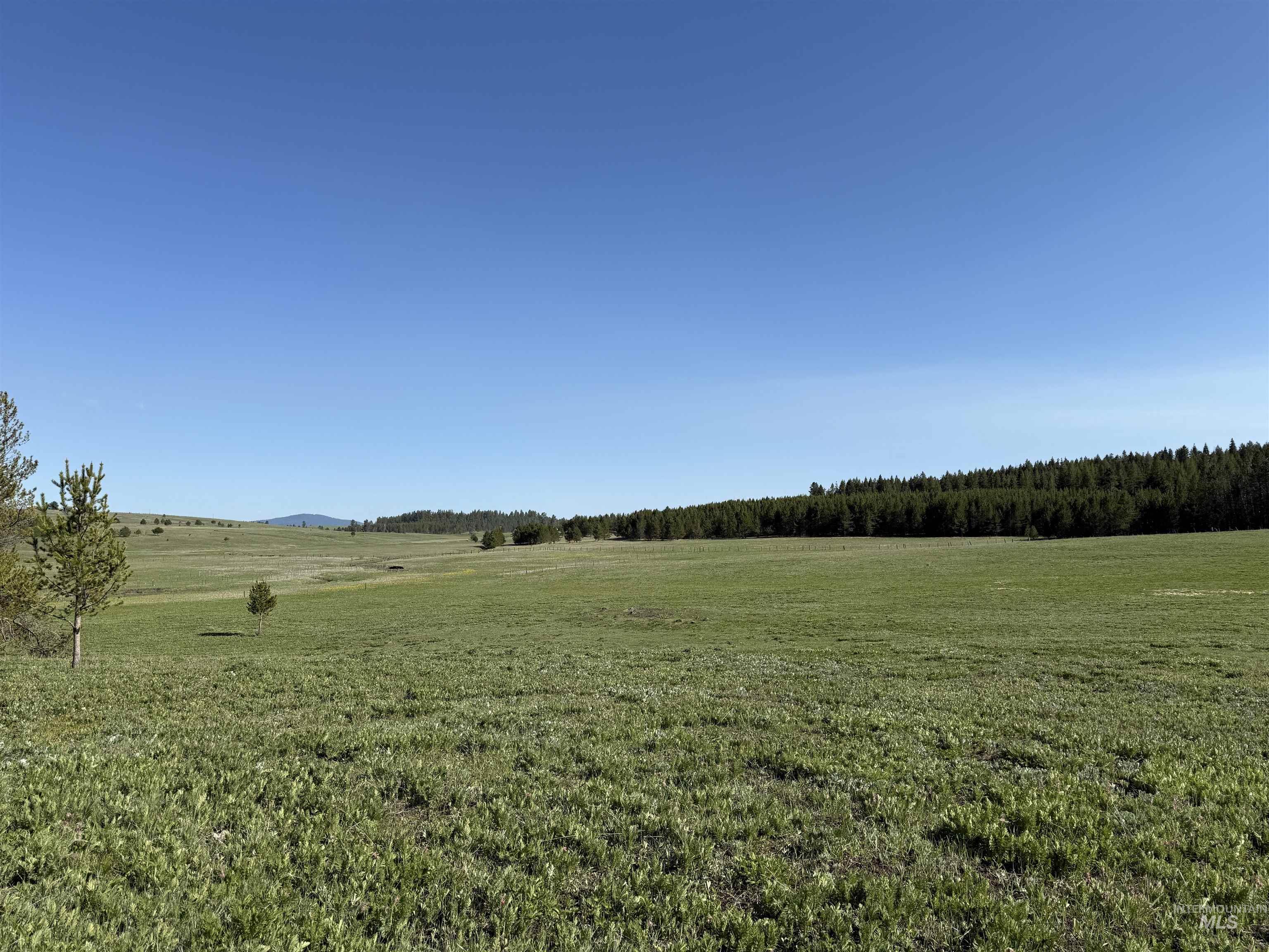 TBD Stevens Rd, Winchester, Idaho 83555, Land For Sale, Price $879,900, 98946613