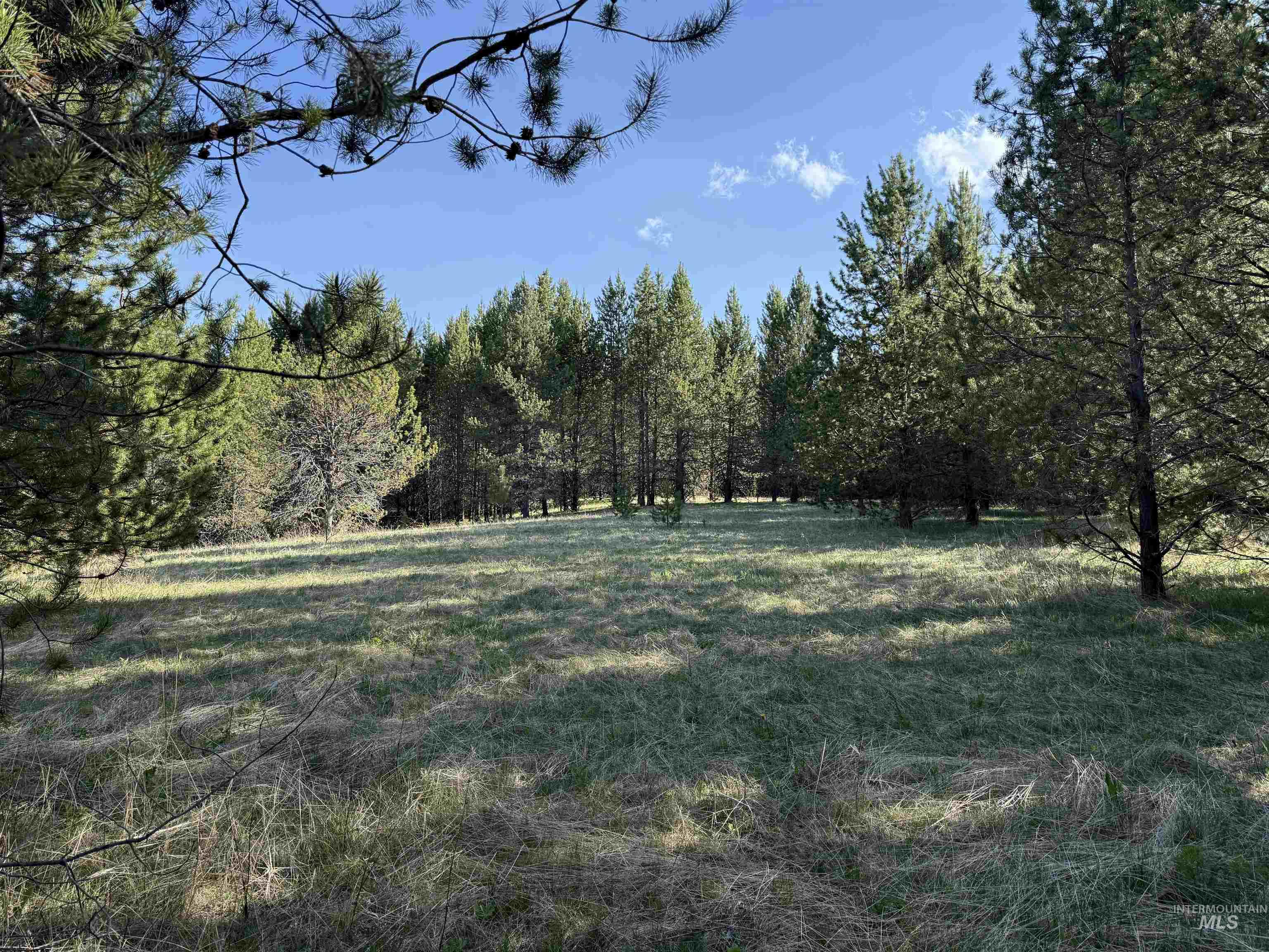 TBD Stevens Rd, Winchester, Idaho 83555, Land For Sale, Price $879,900, 98946613