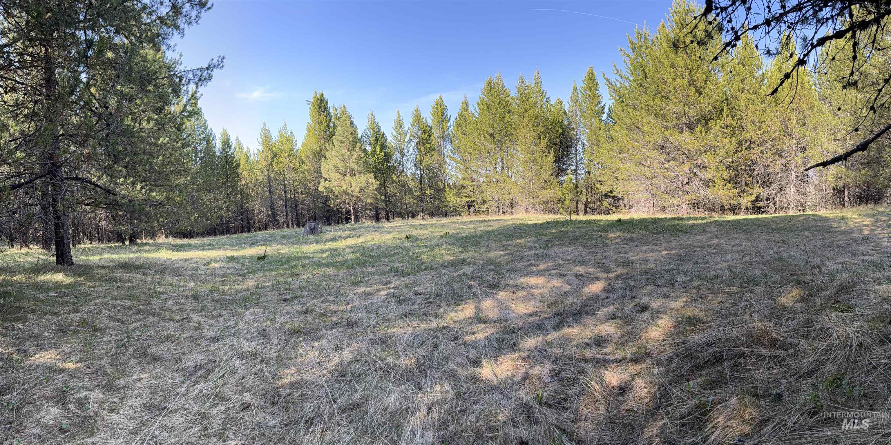 TBD Stevens Rd, Winchester, Idaho 83555, Land For Sale, Price $879,900, 98946613