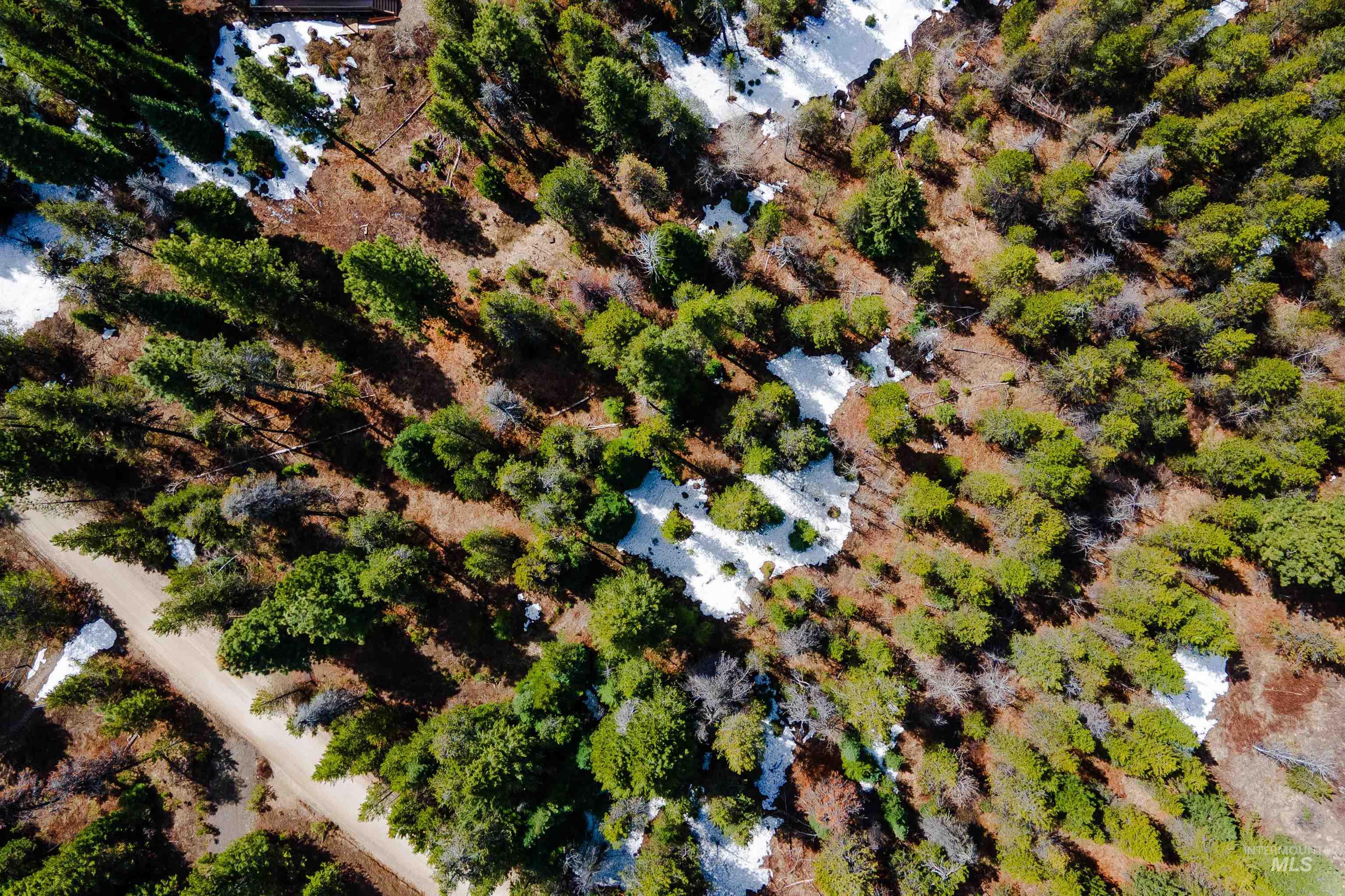 TBD Gamann Dr, Cascade, Idaho 83611, Land For Sale, Price $180,000,MLS 98946621