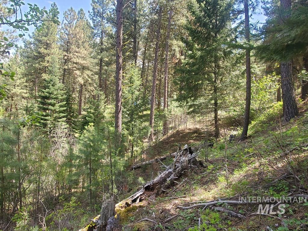 1289 Shore Drive, Cascade, Idaho 83611, Land For Sale, Price $109,900, 98946644