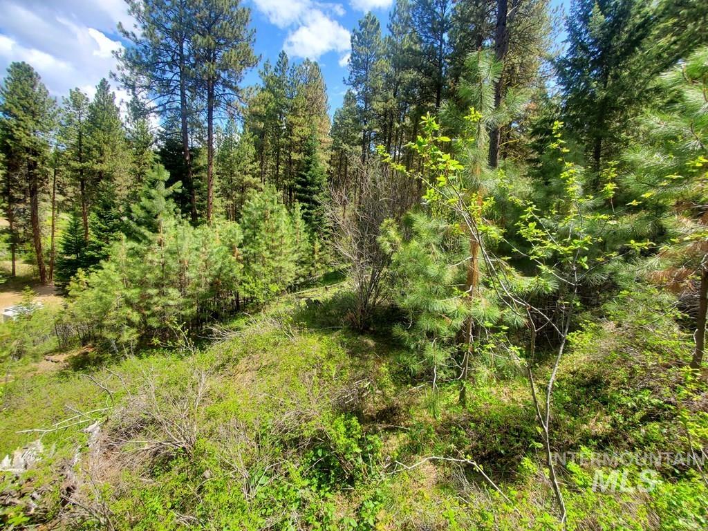 1289 Shore Drive, Cascade, Idaho 83611, Land For Sale, Price $109,900, 98946644