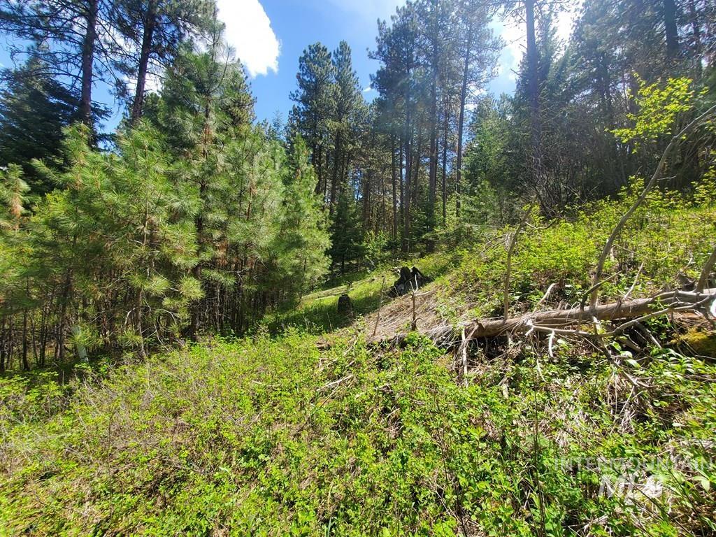 1289 Shore Drive, Cascade, Idaho 83611, Land For Sale, Price $109,900, 98946644