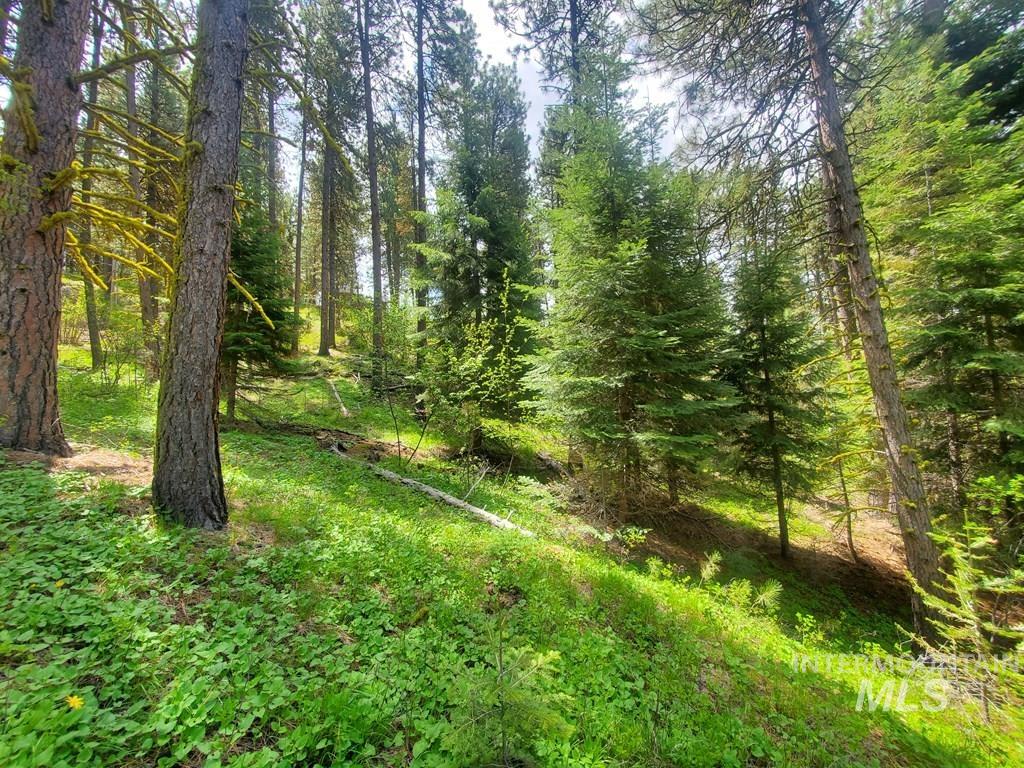 1289 Shore Drive, Cascade, Idaho 83611, Land For Sale, Price $109,900, 98946644
