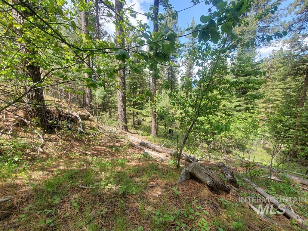 1289 Shore Drive, Cascade, Idaho 83611, Land For Sale, Price $109,900, 98946644