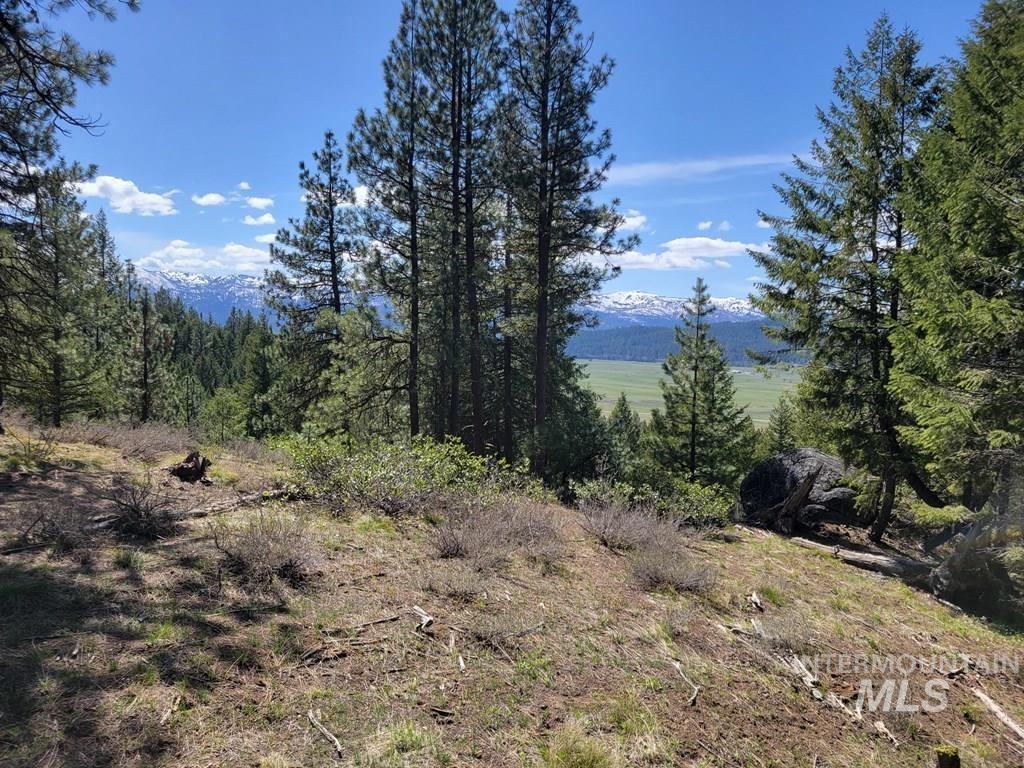 18 Sarah Way, Cascade, Idaho 83611, Land For Sale, Price $269,900,MLS 98946649