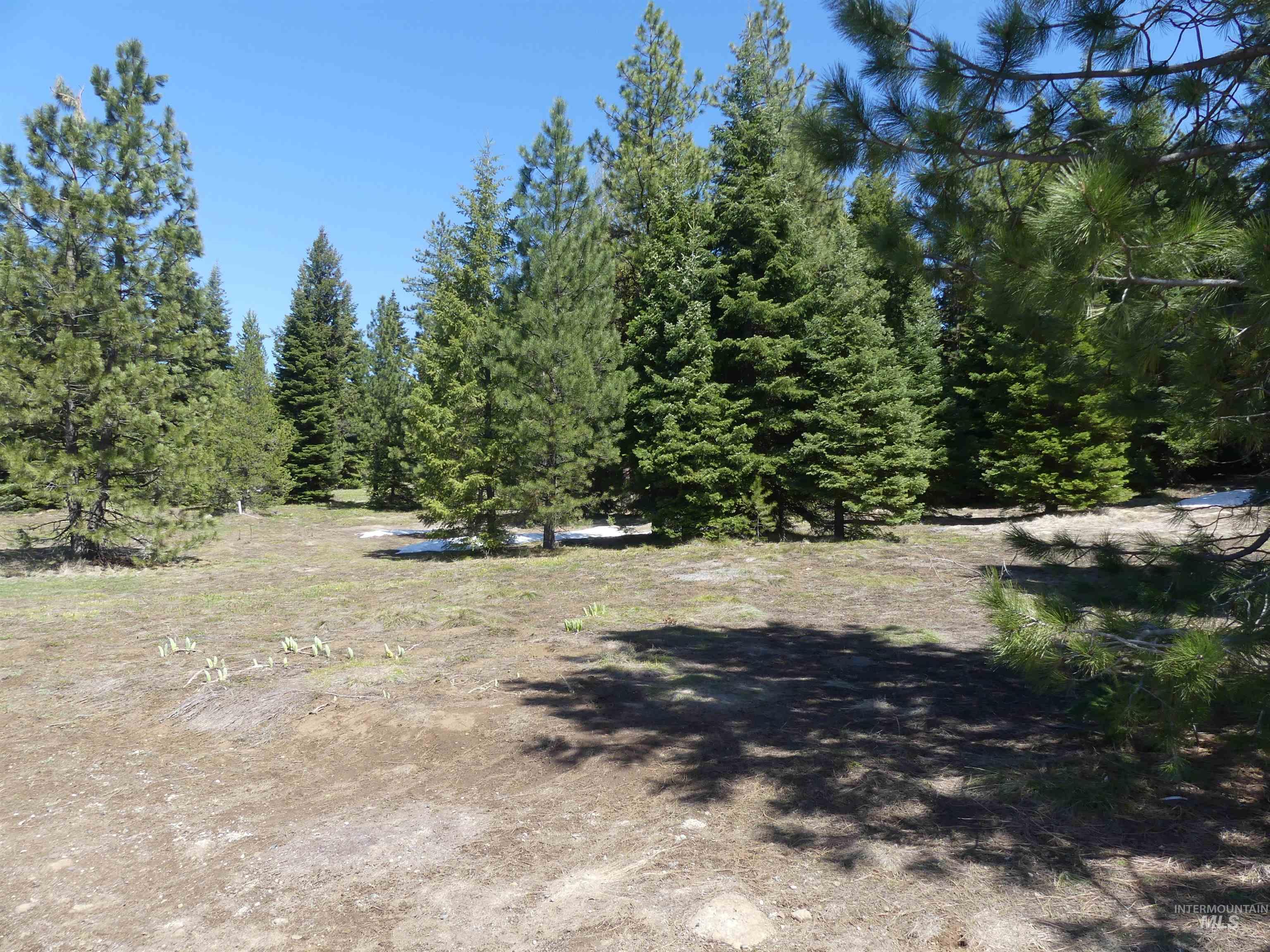 TBD Whitefield Lane, McCall, Idaho 83638, Land For Sale, Price $299,000, 98946662