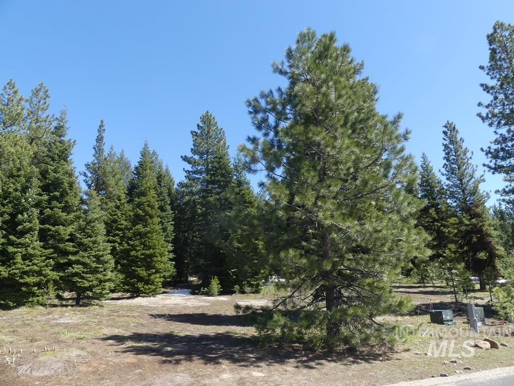 TBD Whitefield Lane, McCall, Idaho 83638, Land For Sale, Price $299,000, 98946662