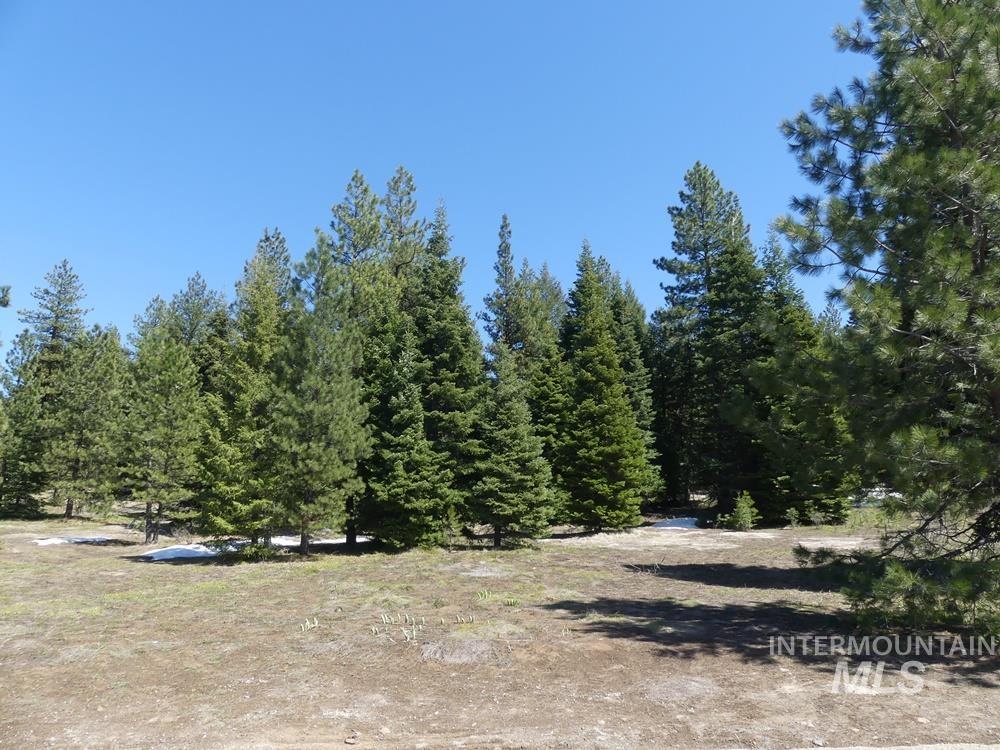 TBD Whitefield Lane, McCall, Idaho 83638, Land For Sale, Price $299,000, 98946662