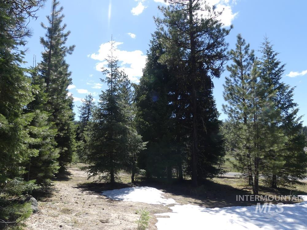 TBD Whitefield Lane, McCall, Idaho 83638, Land For Sale, Price $299,000, 98946662
