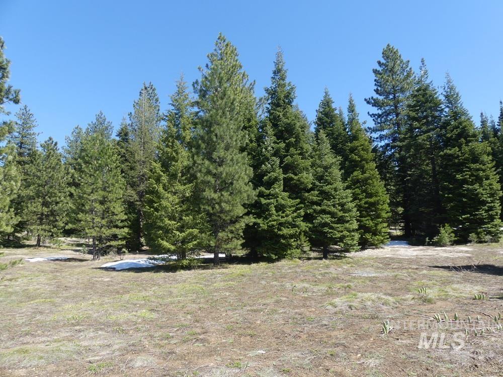 TBD Whitefield Lane, McCall, Idaho 83638, Land For Sale, Price $242,000, 98946662