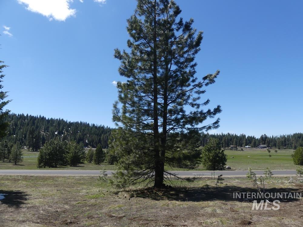 TBD Whitefield Lane, McCall, Idaho 83638, Land For Sale, Price $242,000, 98946662